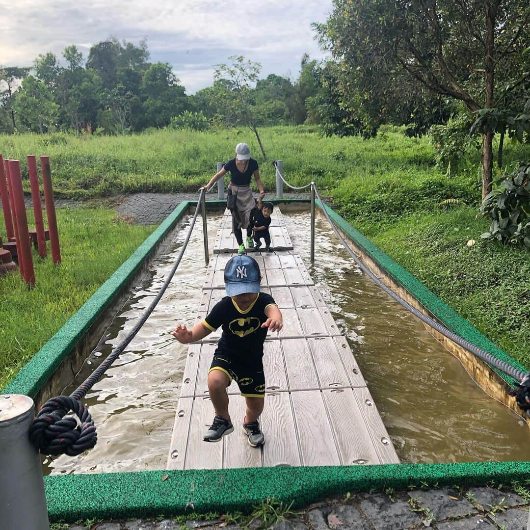 橋本麻里衣さんのインスタグラム写真 - (橋本麻里衣Instagram)「Sungei Buloh Wetland Reserve☺︎❤︎ ＊ ＊ 先日シンガポールの北西部にある湿地保護区Sungei Bulohへ行ってきました。 歩道が舗装されていてとても歩きやすくて、長男でも楽々歩けました◎ ビジターセンター付近にある水に浮かぶ遊具（→写真2.3枚目）がなかなか楽しめましたよ♫ ＊ マレーシアの近くでGPSがマレーシアに入国したと勘違いしてwelcome to Malaysia!というSMSがスターハブから送られてきたので.. 携帯の通信料金が若干不安です..☺︎ ＊ ＊ そして、オンラインヨガの　@soelu_official では現在もキャンペーン実施中! こちらのURLから入っていただくとキャンペーンカード無くてもこれまで同様30日間の無料体験のクーポン内容が適用されます。 ———— https://soelu.com/register?campaign_code=20mari04 ———— →URLがリンクにならないのでコピペして使ってください🙏 ＊ #SOELU#SOELUな暮らし#ソエル#ていねいな暮らし#オンラインヨガ#おうちヨガ ＊  それでは皆様良いお年を...☺︎❤︎  ＊ #SungeiBuloh#スンガイブロー#スンゲイブロー #singaporelife#sglocallife#lifeinsingapore#igsg#sgig#シンガポールライフ#シンガポール生活#シンガポール在住#シンガポール子育て#シンガポールおすすめ#ヨガ#男の子のママ#生後23ヶ月#4歳#二児ママ#海外生活 ☺︎」12月27日 15時32分 - mariihashimoto