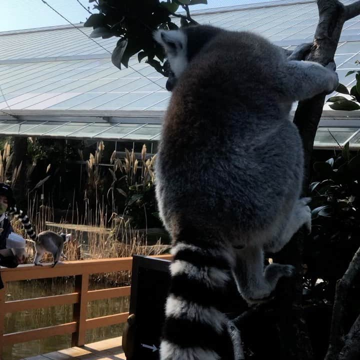 石田靖のインスタグラム