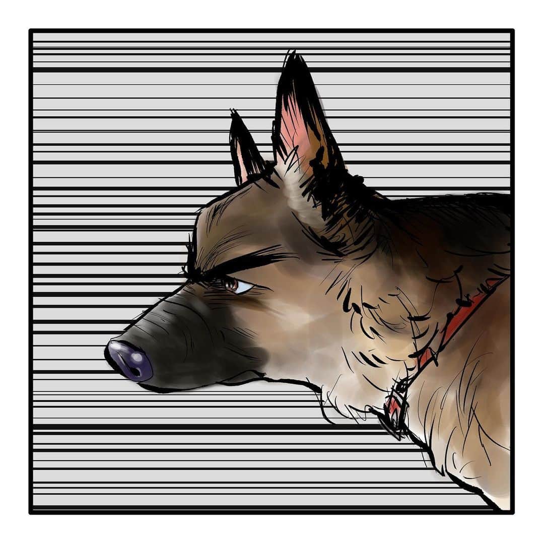 てらりんさんのインスタグラム写真 - (てらりんInstagram)「『ゴボウ』まとめ読み10-⑦  #漫画 #マンガ #まんが #インスタ漫画 #創作 #コミック #イラスト #犬 #シェパード #ゴボウ #manga #comic #illustration #art #drawing #dog #germanshepherd #alsatian #gobo」12月27日 16時43分 - terarin08