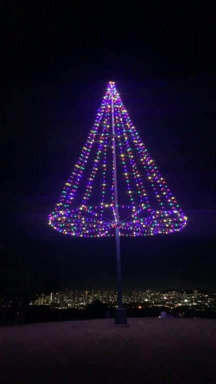のインスタグラム：「珍しいクリスマスツリー行きました🌲」