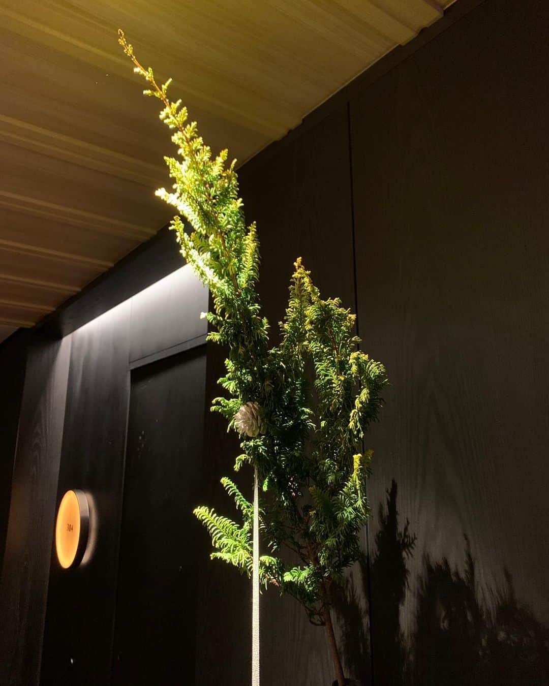 大出千尋さんのインスタグラム写真 - (大出千尋Instagram)「. White  Christmas🎄💫❄️ . 新緑の季節にまた来れたらいいな🍀 . #merrychristmas #nikko #日光」12月27日 16時51分 - chihiro_1208_offi
