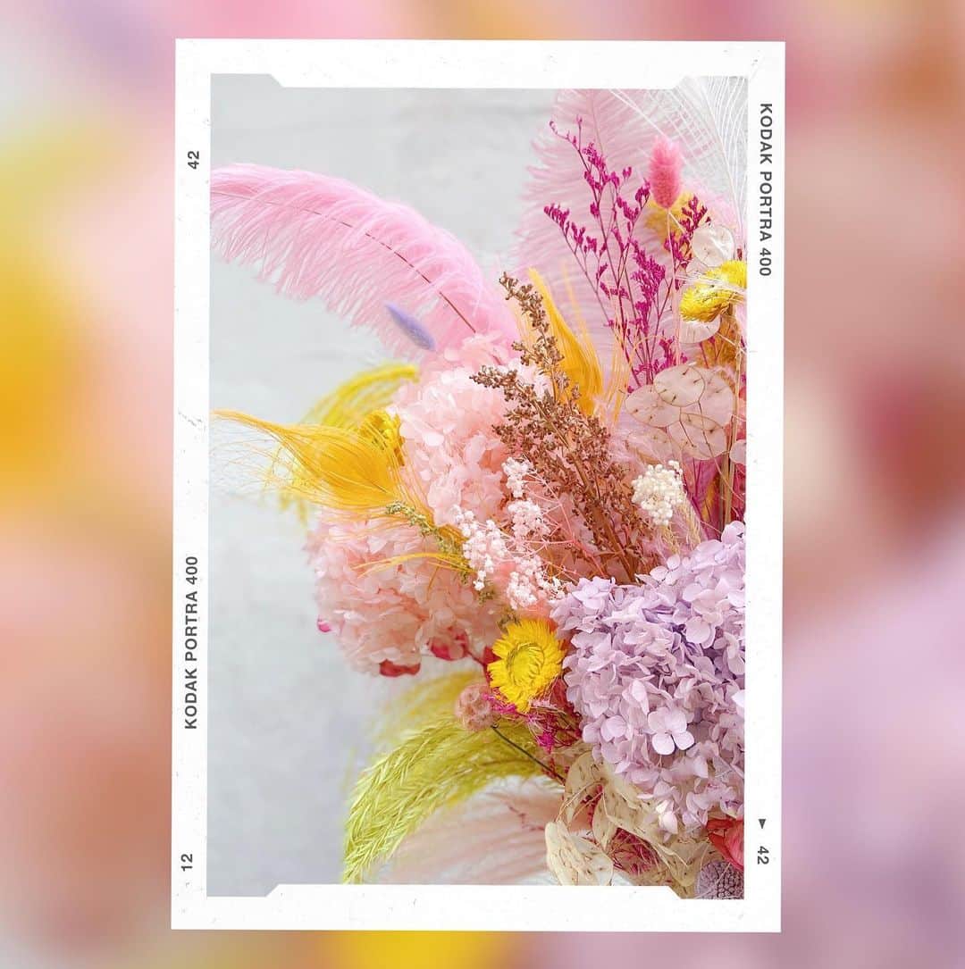 オードリー・キッチングのインスタグラム：「Colors that give you life ★」