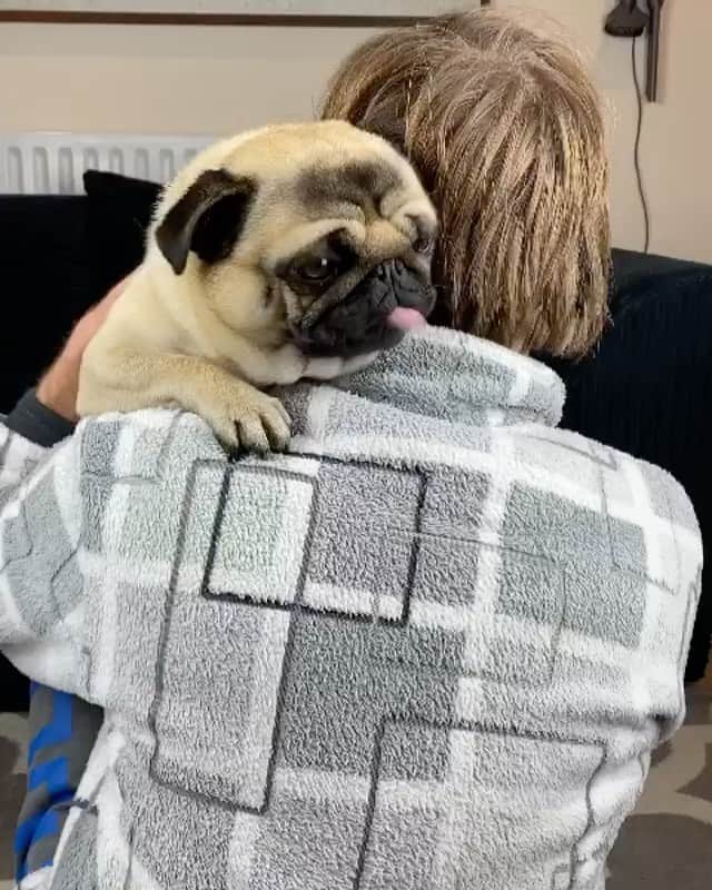 DogsOf Instagramのインスタグラム：「“I never know when to stop giving pug kisses...💋” —@pangpangthepug   #dogsofinstagram #pugsofinstagram #pugstagram」