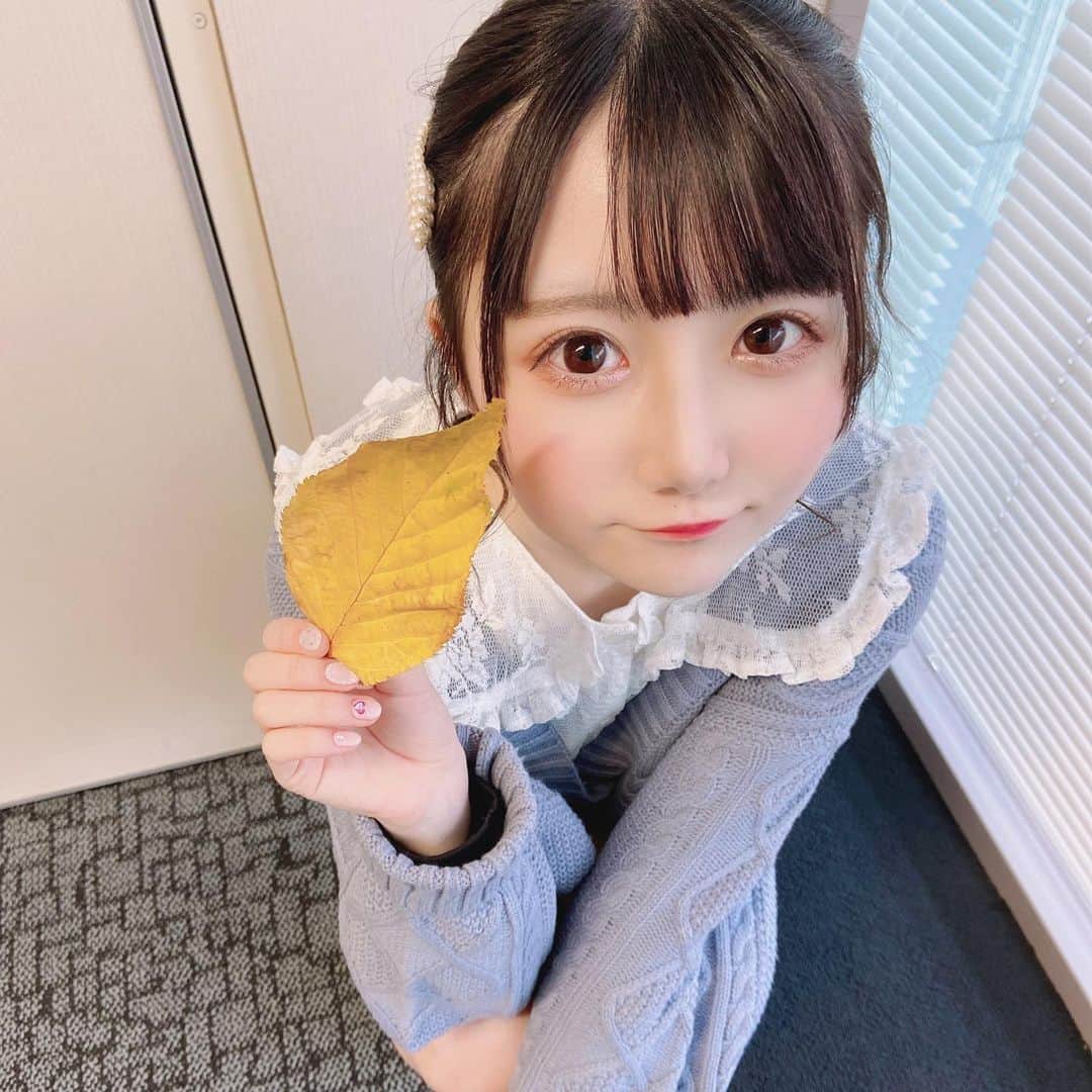 山本あこのインスタグラム：「おおきなはっぱ」