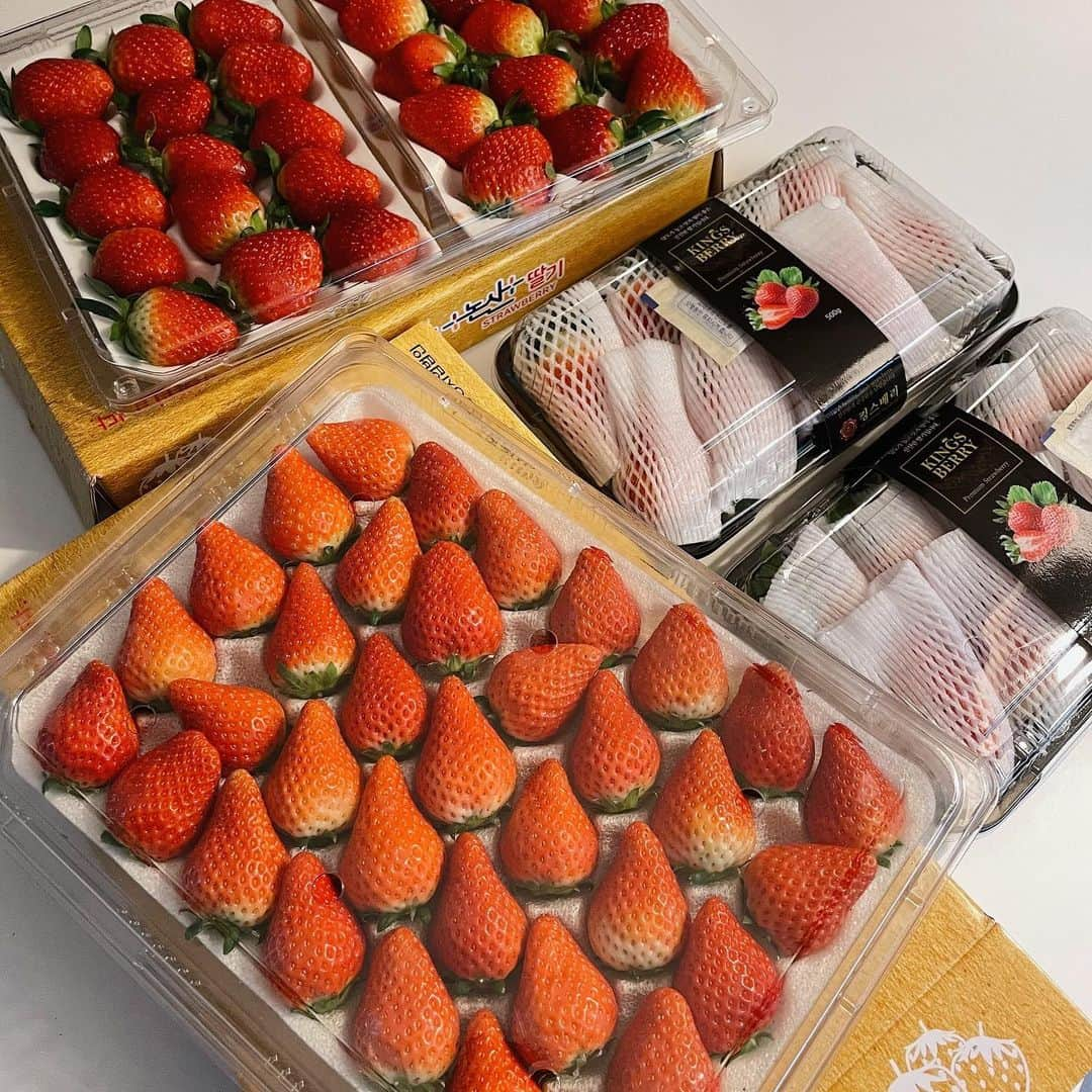 スヒョンさんのインスタグラム写真 - (スヒョンInstagram)「♥ #딸기 공구 🍓 #한정수량 최저가로 다시 조율해서 가져왔어요 👼🏻 주말이다보니 업체와 연락이 늦어 공지가 늦어졌어요 👏🏻 ⠀⠀⠀⠀⠀⠀⠀⠀⠀⠀⠀⠀⠀⠀⠀ ➀ 설향은 제외된 건가요 ? : 계약서 작성 시 카카오톡 행사를 사전에 따로 공유 받지 못하였고 농협과 협업하는 농가에서 해당 행사가를 맞추기 어려워 이번 공구에서 설향은 제외하고 진행하게 되었습니다. ⠀⠀⠀⠀⠀⠀⠀⠀⠀⠀⠀⠀⠀⠀⠀ ➁ 최저가가 맞나요 ? : 지금까지 진행해왔던 모든 공구 제품들 하나도 빠짐없이 최저가로 진행해 왔던 건 다들 알고 계시리라 생각합니다. 그러나 과일은 매일매일 가격이 변동되기도 하고 이미 계약서에 작성된 업체에서 정한 최저가를 함부로 위반할 수 없어서 ‘소셜클럽’에서 자사몰 마진을 줄이고 할인 쿠폰을 주듯 ‘함께구매가’로 최저가를 맞추게 되었습니다. 또한 이번 공구는 매칭 상대를 찾으실 필요 없이 자동 매칭이 가능하도록 변경해둔 상태이며 온라인 최저가가 맞습니다. ⠀⠀⠀⠀⠀⠀⠀⠀⠀⠀⠀⠀⠀⠀⠀ 🚚🚛 배송비는 #전체_무료배송 제가 쏩니다 ⠀⠀⠀⠀⠀⠀⠀⠀⠀⠀⠀⠀⠀⠀⠀ 💡 #비타베리 ↳ 딸기의 한 품종으로 농업기술원에서 개발한 신품종입니다. 비타민 C 함유량이 시중 딸기보다 월등히 높고 향이 우수하며 풍미가 깊고 단단합니다 ⠀⠀⠀⠀⠀⠀⠀⠀⠀⠀⠀⠀⠀⠀⠀ 💡 #킹스베리 ↳ 딸기의 한 품종으로 농업기술원에서 개발한 신품종입니다. 촉진제를 일체 쓰지 않았으나 시중 딸기보다 월등히 크고 딸기 본연의 맛이 끝날 때쯤 복숭아 향이 올라오는 것이 특징입니다 ⠀⠀⠀⠀⠀⠀⠀⠀⠀⠀⠀⠀⠀⠀⠀ 🥇 딸기의 고향 #충청남도 #논산 논산농협 딸기입니다 🥈 당도 높은 딸기로 #당일수확 #당일출고 농장직배송까지 🥉 #농림축산식품부 우수관리 인증된 건강한 과일입니다 ⠀⠀⠀⠀⠀⠀⠀⠀⠀⠀⠀⠀⠀⠀⠀ 예민한 과일인 만큼 안전하고 신선하게 전달하기 위해서 당일 수확 후 농장 직배송으로 당일 발송됩니다 🛫🛬 ⠀⠀⠀⠀⠀⠀⠀⠀⠀⠀⠀⠀⠀⠀⠀ ❶ 가격 1) 비타베리 750g 35구 (개별중량 21g 내외) 자동매칭 함께구매가 19,465원 💰 ⠀⠀⠀⠀⠀⠀⠀⠀⠀⠀⠀⠀⠀⠀⠀ 2) 킹스베리 1kg (500g 2팩) (개별중량 45g 이상 특과) 자동매칭 함께구매가 31,365원 💰 ⠀⠀⠀⠀⠀⠀⠀⠀⠀⠀⠀⠀⠀⠀⠀ ❷ 배송 모두 #무료배송 📦 당일 수확 후 포장 발송되며 오전 9시 이전 결제시 당일 출고됩니다 ! ⠀⠀⠀⠀⠀⠀⠀⠀⠀⠀⠀⠀⠀⠀⠀ ❸ 고객센터 철저하게 검수 후 발송해드리지만, 생물인 과일은 단시간 내 사고가 발생할 수 있는 점 양해 부탁드립니다. 댓글이나 메시지는 주문자 확인이 어렵기 때문에 모든 CS는 카카오톡 플러스친구 '소셜클럽'으로 보내주시면 빠르게 처리 도와드리겠습니다 ⠀⠀⠀⠀⠀⠀⠀⠀⠀⠀⠀⠀⠀⠀⠀ ❝ 12월 27일(일) 저녁 8시부터 ~ 29일(화) 자정까지 ❞ ⠀⠀⠀⠀⠀⠀⠀⠀⠀⠀⠀⠀⠀⠀⠀ ﹆ 프로필 링크에서 구매하시고 놓치지 마세요 ﹆ 질문은 댓글에 남겨주세요 #친구태그 는 사랑입니다 ♥ #𝑱𝒂𝒏𝒈𝒔𝒖𝒉𝒚𝒖𝒏_공구」12月27日 19時57分 - jshs2