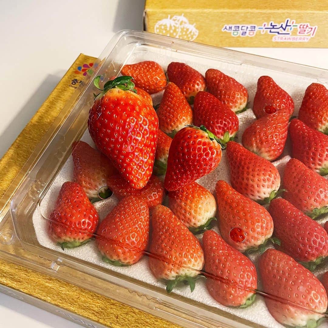 スヒョンのインスタグラム：「♥ #딸기 공구 🍓 #한정수량 최저가로 다시 조율해서 가져왔어요 👼🏻 주말이다보니 업체와 연락이 늦어 공지가 늦어졌어요 👏🏻 ⠀⠀⠀⠀⠀⠀⠀⠀⠀⠀⠀⠀⠀⠀⠀ ➀ 설향은 제외된 건가요 ? : 계약서 작성 시 카카오톡 행사를 사전에 따로 공유 받지 못하였고 농협과 협업하는 농가에서 해당 행사가를 맞추기 어려워 이번 공구에서 설향은 제외하고 진행하게 되었습니다. ⠀⠀⠀⠀⠀⠀⠀⠀⠀⠀⠀⠀⠀⠀⠀ ➁ 최저가가 맞나요 ? : 지금까지 진행해왔던 모든 공구 제품들 하나도 빠짐없이 최저가로 진행해 왔던 건 다들 알고 계시리라 생각합니다. 그러나 과일은 매일매일 가격이 변동되기도 하고 이미 계약서에 작성된 업체에서 정한 최저가를 함부로 위반할 수 없어서 ‘소셜클럽’에서 자사몰 마진을 줄이고 할인 쿠폰을 주듯 ‘함께구매가’로 최저가를 맞추게 되었습니다. 또한 이번 공구는 매칭 상대를 찾으실 필요 없이 자동 매칭이 가능하도록 변경해둔 상태이며 온라인 최저가가 맞습니다. ⠀⠀⠀⠀⠀⠀⠀⠀⠀⠀⠀⠀⠀⠀⠀ 🚚🚛 배송비는 #전체_무료배송 제가 쏩니다 ⠀⠀⠀⠀⠀⠀⠀⠀⠀⠀⠀⠀⠀⠀⠀ 💡 #비타베리 ↳ 딸기의 한 품종으로 농업기술원에서 개발한 신품종입니다. 비타민 C 함유량이 시중 딸기보다 월등히 높고 향이 우수하며 풍미가 깊고 단단합니다 ⠀⠀⠀⠀⠀⠀⠀⠀⠀⠀⠀⠀⠀⠀⠀ 💡 #킹스베리 ↳ 딸기의 한 품종으로 농업기술원에서 개발한 신품종입니다. 촉진제를 일체 쓰지 않았으나 시중 딸기보다 월등히 크고 딸기 본연의 맛이 끝날 때쯤 복숭아 향이 올라오는 것이 특징입니다 ⠀⠀⠀⠀⠀⠀⠀⠀⠀⠀⠀⠀⠀⠀⠀ 🥇 딸기의 고향 #충청남도 #논산 논산농협 딸기입니다 🥈 당도 높은 딸기로 #당일수확 #당일출고 농장직배송까지 🥉 #농림축산식품부 우수관리 인증된 건강한 과일입니다 ⠀⠀⠀⠀⠀⠀⠀⠀⠀⠀⠀⠀⠀⠀⠀ 예민한 과일인 만큼 안전하고 신선하게 전달하기 위해서 당일 수확 후 농장 직배송으로 당일 발송됩니다 🛫🛬 ⠀⠀⠀⠀⠀⠀⠀⠀⠀⠀⠀⠀⠀⠀⠀ ❶ 가격 1) 비타베리 750g 35구 (개별중량 21g 내외) 자동매칭 함께구매가 19,465원 💰 ⠀⠀⠀⠀⠀⠀⠀⠀⠀⠀⠀⠀⠀⠀⠀ 2) 킹스베리 1kg (500g 2팩) (개별중량 45g 이상 특과) 자동매칭 함께구매가 31,365원 💰 ⠀⠀⠀⠀⠀⠀⠀⠀⠀⠀⠀⠀⠀⠀⠀ ❷ 배송 모두 #무료배송 📦 당일 수확 후 포장 발송되며 오전 9시 이전 결제시 당일 출고됩니다 ! ⠀⠀⠀⠀⠀⠀⠀⠀⠀⠀⠀⠀⠀⠀⠀ ❸ 고객센터 철저하게 검수 후 발송해드리지만, 생물인 과일은 단시간 내 사고가 발생할 수 있는 점 양해 부탁드립니다. 댓글이나 메시지는 주문자 확인이 어렵기 때문에 모든 CS는 카카오톡 플러스친구 '소셜클럽'으로 보내주시면 빠르게 처리 도와드리겠습니다 ⠀⠀⠀⠀⠀⠀⠀⠀⠀⠀⠀⠀⠀⠀⠀ ❝ 12월 27일(일) 저녁 8시부터 ~ 29일(화) 자정까지 ❞ ⠀⠀⠀⠀⠀⠀⠀⠀⠀⠀⠀⠀⠀⠀⠀ ﹆ 프로필 링크에서 구매하시고 놓치지 마세요 ﹆ 질문은 댓글에 남겨주세요 #친구태그 는 사랑입니다 ♥ #𝑱𝒂𝒏𝒈𝒔𝒖𝒉𝒚𝒖𝒏_공구」