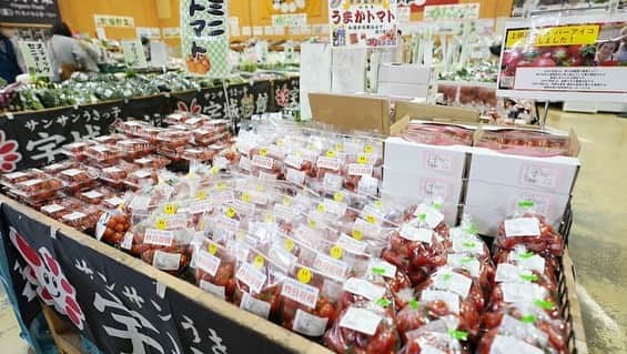 けんさむさんのインスタグラム写真 - (けんさむInstagram)「けんさむ🐶です🍅 #主夫けんさむ 「#宇城彩館 」で食材を調達し『#トマト鍋 』を作る🍳人生初のトマト鍋は成功なるか⁉️😎✨ 📍#サンサンうきっ子宇城彩館 #宇城市 . 詳しくはプロフィールURLからブログみてはいよ🙋‍♂️🍊 . いいね👍フォロー👯‍♂️Thankyou😇✨ 皆さんの熊本のお気に入りを教えてください🌿 コメント📝メッセージ💭待ってます🐶🎶 . #けんさむの熊本紹介 #熊本 #熊本グルメ #くまモン #けんさむ #熊本観光 #熊本県 #kumamoto #熊本lunch #熊本ランチ #熊本道の駅 #熊本の鍋 #けんさむクッキング #くまもと収穫祭 #熊本市農産物フェア2020 #送料無料 #なに頼む #お取り寄せ #インスタ更新忘れてたてへぺろりん」12月27日 20時09分 - kensome_kumamoto