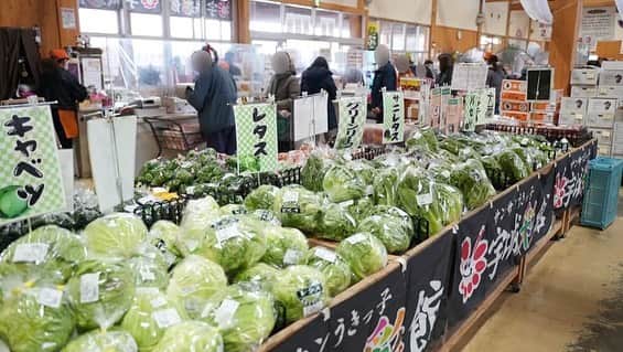 けんさむさんのインスタグラム写真 - (けんさむInstagram)「けんさむ🐶です🍅 #主夫けんさむ 「#宇城彩館 」で食材を調達し『#トマト鍋 』を作る🍳人生初のトマト鍋は成功なるか⁉️😎✨ 📍#サンサンうきっ子宇城彩館 #宇城市 . 詳しくはプロフィールURLからブログみてはいよ🙋‍♂️🍊 . いいね👍フォロー👯‍♂️Thankyou😇✨ 皆さんの熊本のお気に入りを教えてください🌿 コメント📝メッセージ💭待ってます🐶🎶 . #けんさむの熊本紹介 #熊本 #熊本グルメ #くまモン #けんさむ #熊本観光 #熊本県 #kumamoto #熊本lunch #熊本ランチ #熊本道の駅 #熊本の鍋 #けんさむクッキング #くまもと収穫祭 #熊本市農産物フェア2020 #送料無料 #なに頼む #お取り寄せ #インスタ更新忘れてたてへぺろりん」12月27日 20時09分 - kensome_kumamoto