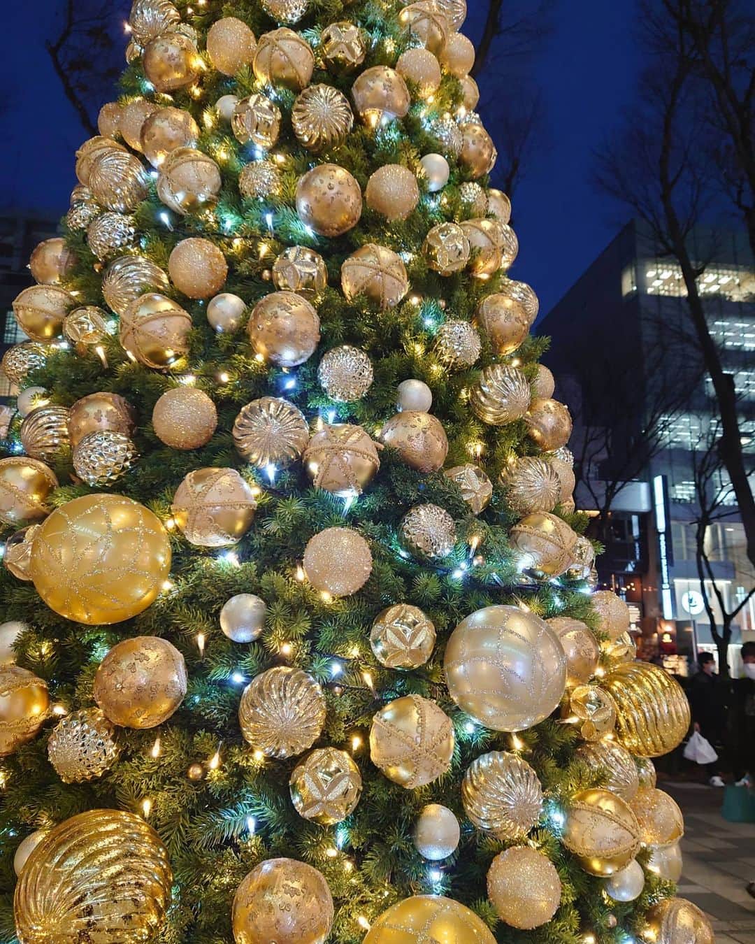 平アスカのインスタグラム：「遅めのクリスマス投稿。笑 キラキラしたものがすきだけどきらい。 . サンタさんみたいに人に幸せを与えられるようなひとになりたいなあ。 家族、お友達、フォロワーさまみんなに感謝。 お誕生日もあとすこし、、 26歳さいごまでたのしみます。 #2020 #christmas」