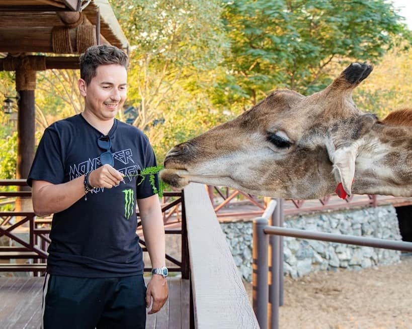 ホルヘ・ロレンソさんのインスタグラム写真 - (ホルヘ・ロレンソInstagram)「Here having breakfast with a good friend of mine...🦒☕️  #giraffe #animallover #dubai #uae #wildlife #dubailife #zoo #animals   @sb_belhasa @fame.park」12月27日 20時45分 - jorgelorenzo99