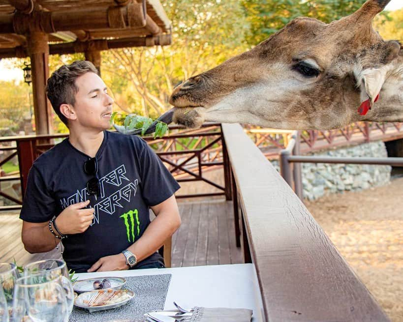 ホルヘ・ロレンソのインスタグラム：「Here having breakfast with a good friend of mine...🦒☕️  #giraffe #animallover #dubai #uae #wildlife #dubailife #zoo #animals   @sb_belhasa @fame.park」