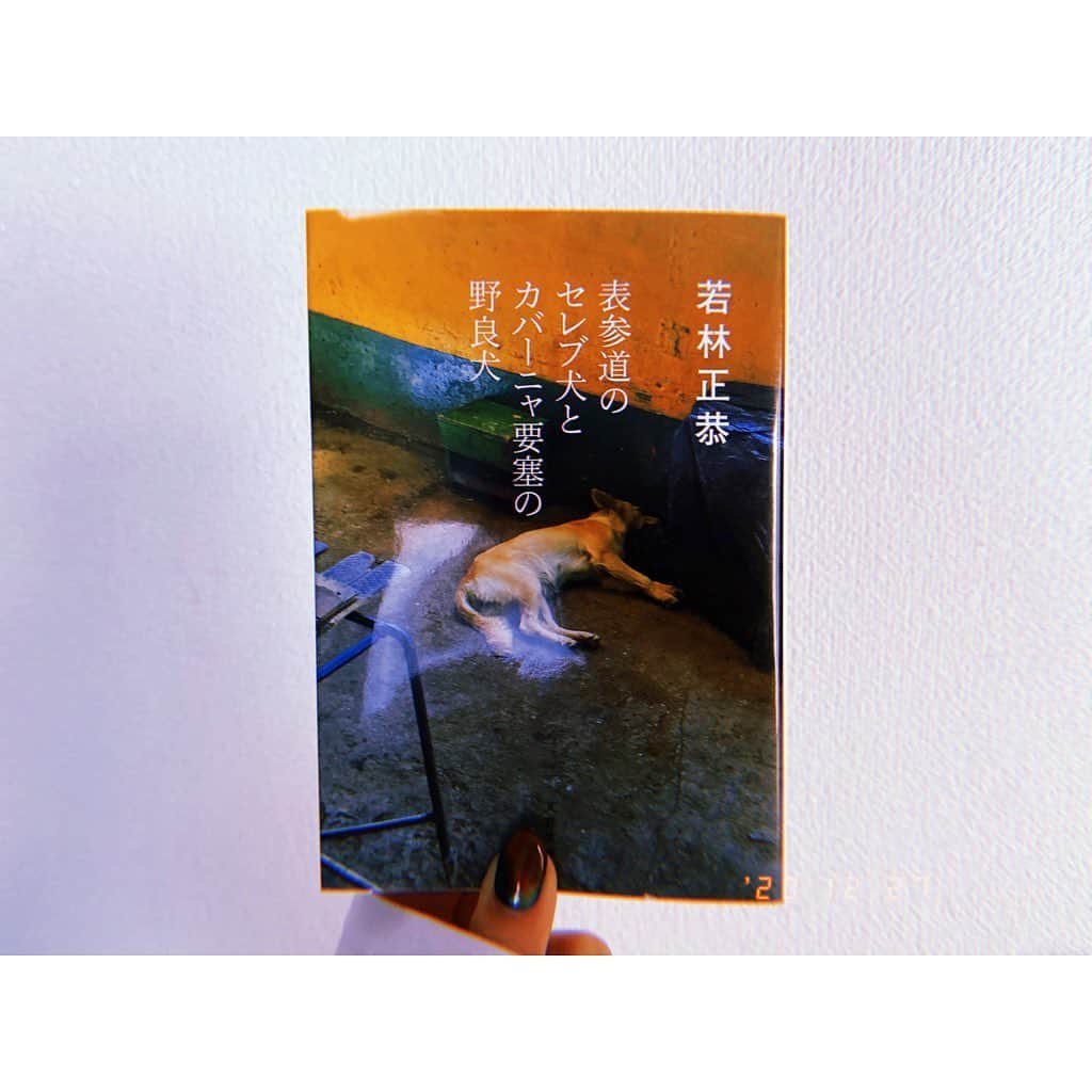 のインスタグラム：「絶対面白いに決まってると思って買ったオードリー若林さんの本。どのエピソードにも最後の一文でオチのある面白さはもちろんだけど今の日本の生きにくさに関しての思いが綴られていて良い本だったー！キューバ、モンゴル、アイスランドへの一人旅の旅行記の中でずっと感じていた若林さんの生きにくさの答えというか気付きは考えさせらる。帰りの機内で東京の街を見下ろしながら「この街でバカにされずに生きていくにはいくつ手にいればいい？」と自問していたり、お笑い芸人とアルバイトを両立していた頃の社会に必要とされていない感覚があったのは何故だ？とモンゴルの景色を眺めて考えたり、キューバの社会主義を体感して街に広告の看板がない事の爽快さに気づいたり、アイスランドで死にたくないけど生きてるって実感したいと思ったり。(オーロラ観れた時のパピコは爆笑です) 帯や後書きにcreepy nutsの松永さんが寄せた「生々しい」っていう感想がぴったりだった。たまに読み返すだろうな、この本。こういう思いや気持ちや考えを外に発信するって勇気いる事だと思うけど、ワタシは沢山救われた気がする。自分より色々と持っていないはずの国の人が生き生きしてたり、笑顔だったり、エネルギッシュだったりする。ああいうのに触れた時に「自分は幸せじゃん！恵まれてるじゃん！」と思えたりする。幸せってなんだ？満たすって基準は？生きやすくなるために納得しとかなきゃならないことは？今の世の中、生き辛いと思ってる人は必読だと思う！  #表参道のセレブ犬とカバーニャ要塞の野良犬  #若林正恭  #オードリー #読書 #ハヤシの読書」