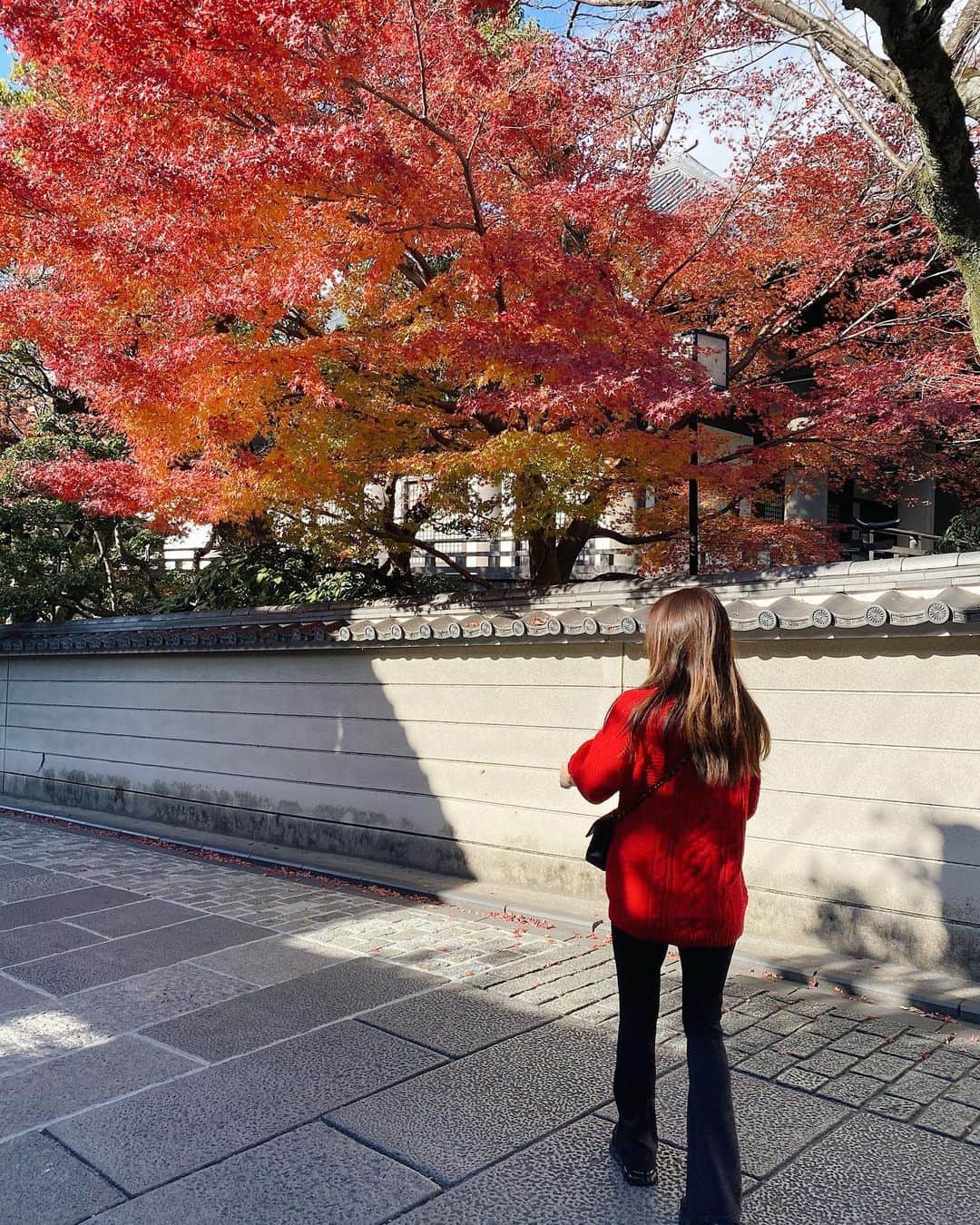 A❤︎❤︎❤︎のインスタグラム：「京都はまだ紅葉が残っていました🍁 久しぶりの投稿してみたっ！！ @holidayandholiday_official の 赤ニットがとてもお気に入り〜💓🥰 またこれから来年に向けて投稿していくー！ . . #京都#国内旅行#もみじ#京都観光」