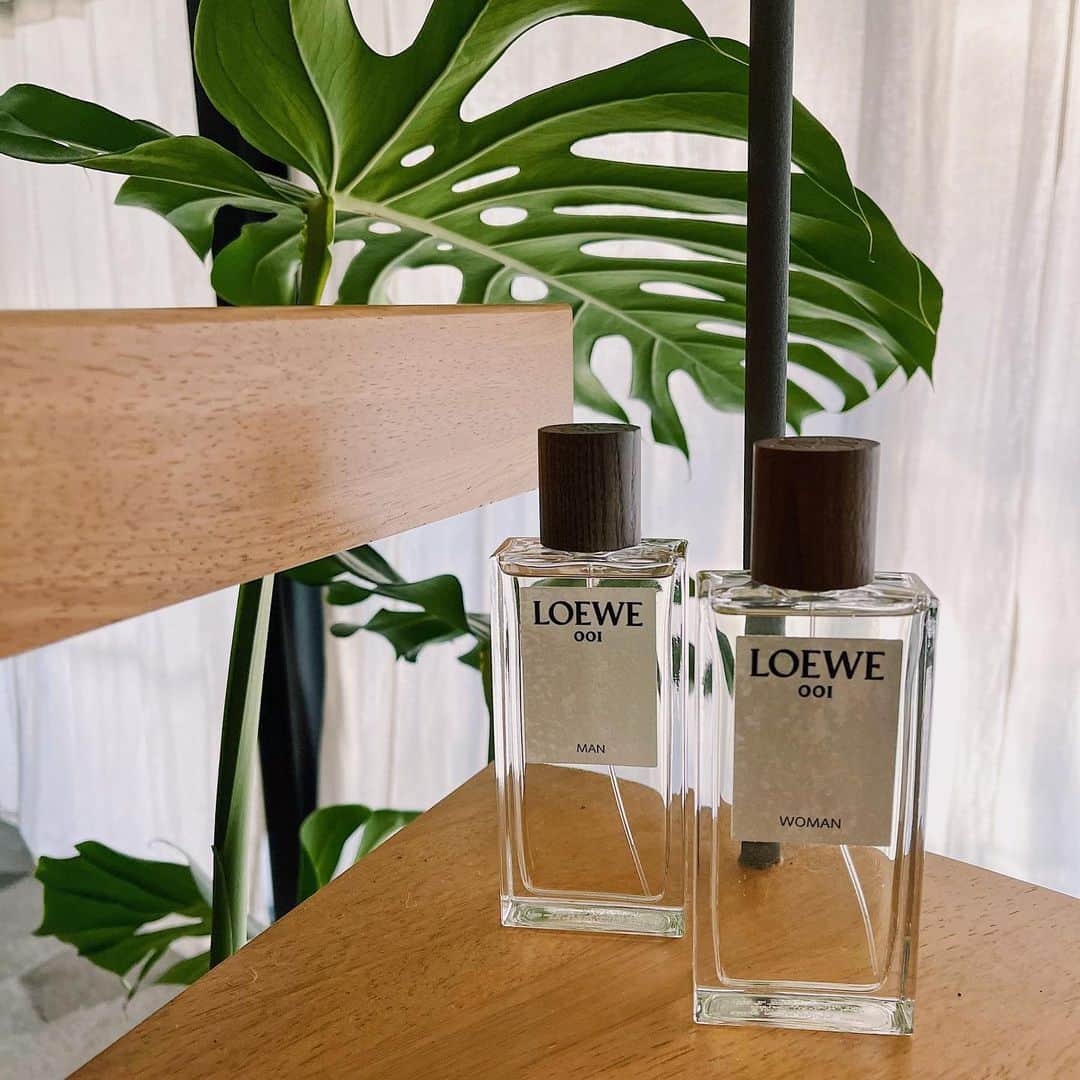 佐々木彩乃のインスタグラム：「new @loewe」