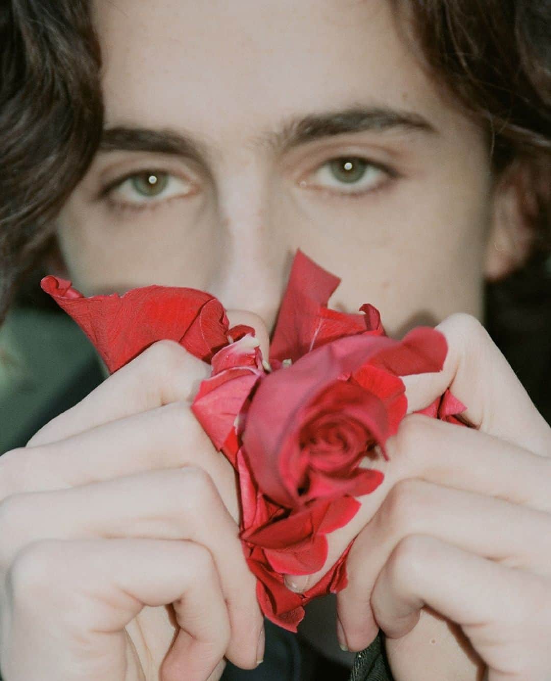 Dazed Magazineさんのインスタグラム写真 - (Dazed MagazineInstagram)「Coming up roses 🌹  HBD Timmy ❤️⁠ ⁠ Tap the link in bio to revisit @tchalamet’s @dazedchina cover story 📲⁠ ⁠ Photography @d.avit⁠ Styling Alvin and Sid Yahao Sun⁠ ⁠ Taken from the March/April 2020 issue of #DazedChina」12月27日 21時01分 - dazed