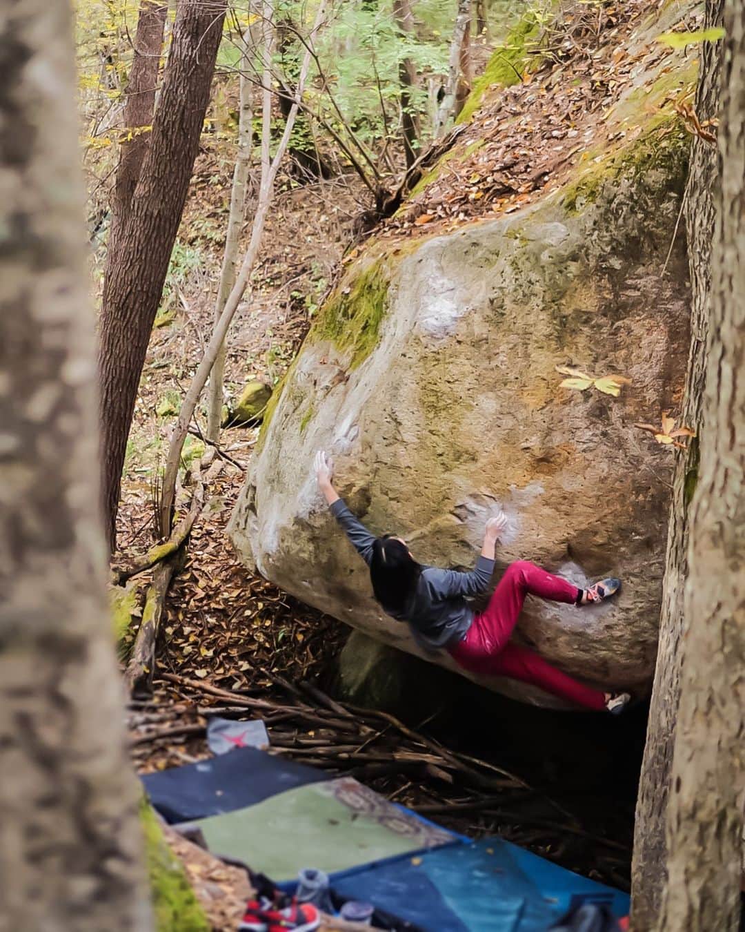 尾上彩さんのインスタグラム写真 - (尾上彩Instagram)「Memories from Mizugaki in this autumn🍁 Photo by @___yamato  ・ 最近岩場に行けてないから、秋の写真を見返してモチベーションを上げる作戦😎 ・ @patagoniajp @patagonia_climb #climbing #bouldering #climblikeagirl #クライミング #ボルダリング」12月27日 21時01分 - aya_onoe