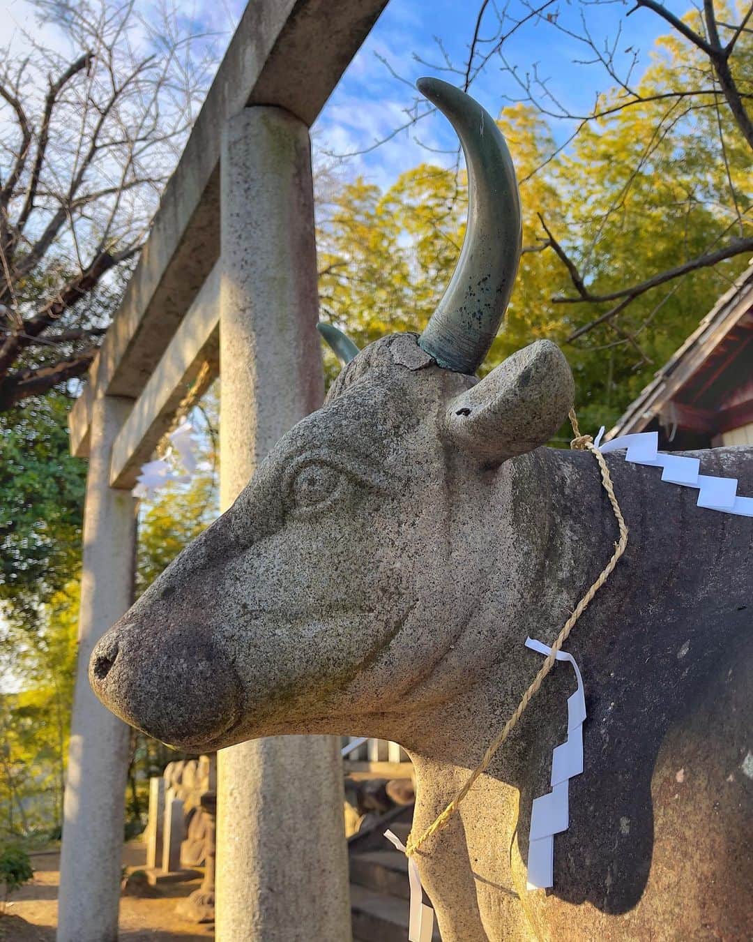 JAPANのインスタグラム：「2021 Year of the Ox 🐮」