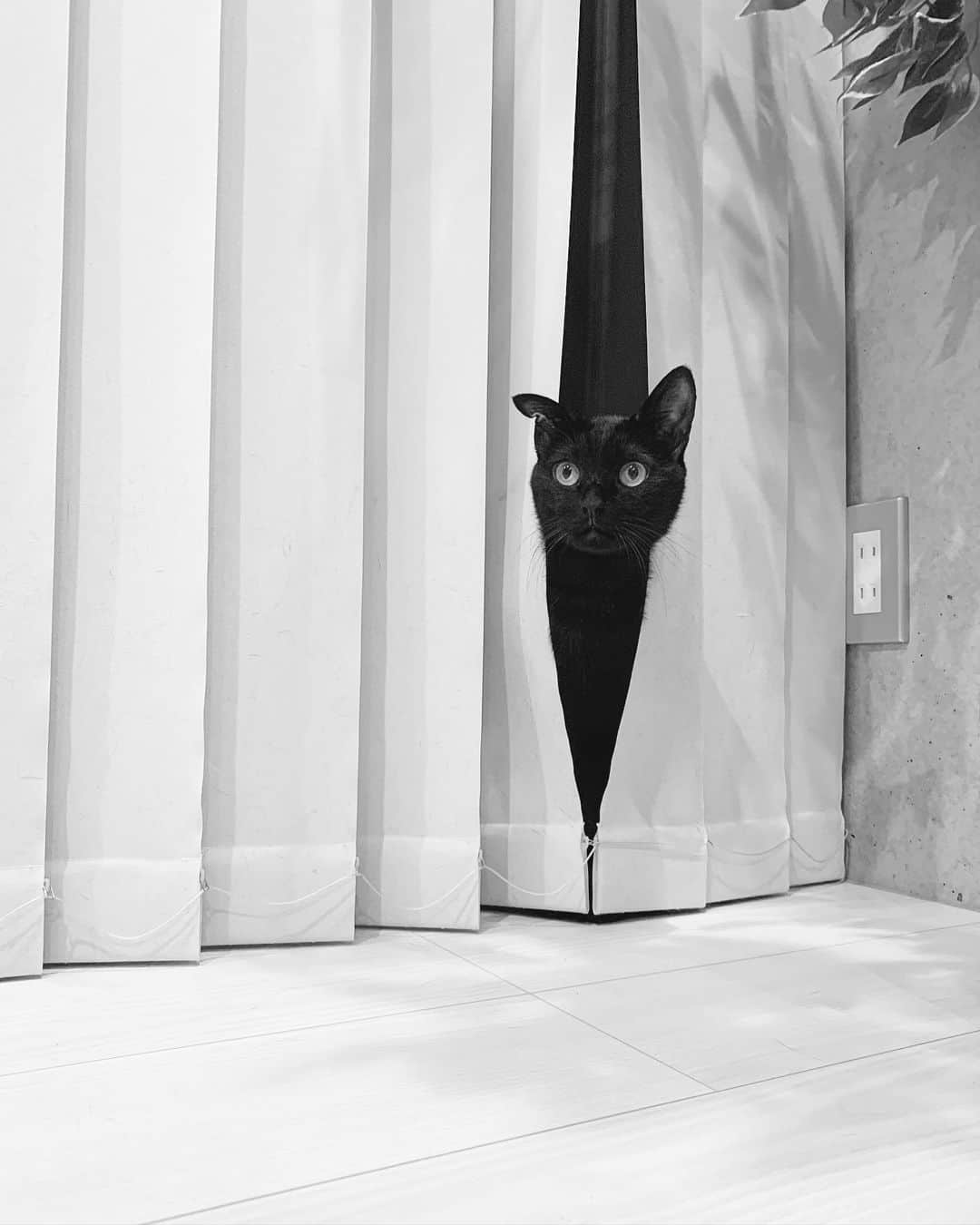 s_shoheyのインスタグラム：「. もういくつ寝るとお正月〜 .」