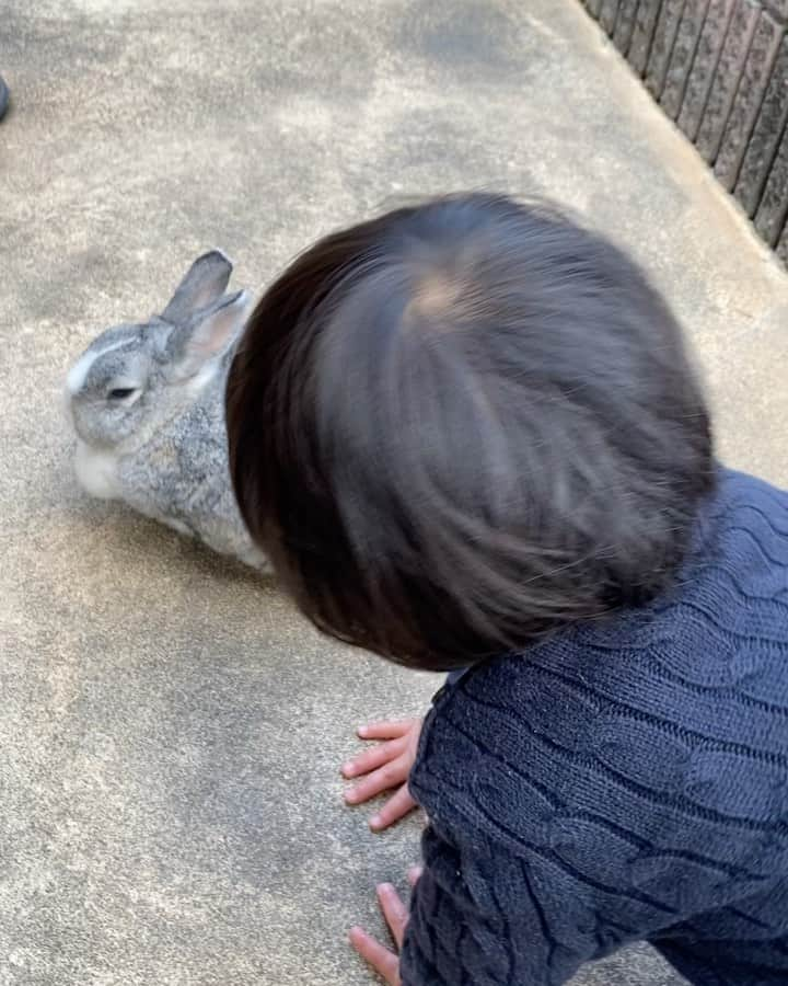 輝良まさとのインスタグラム