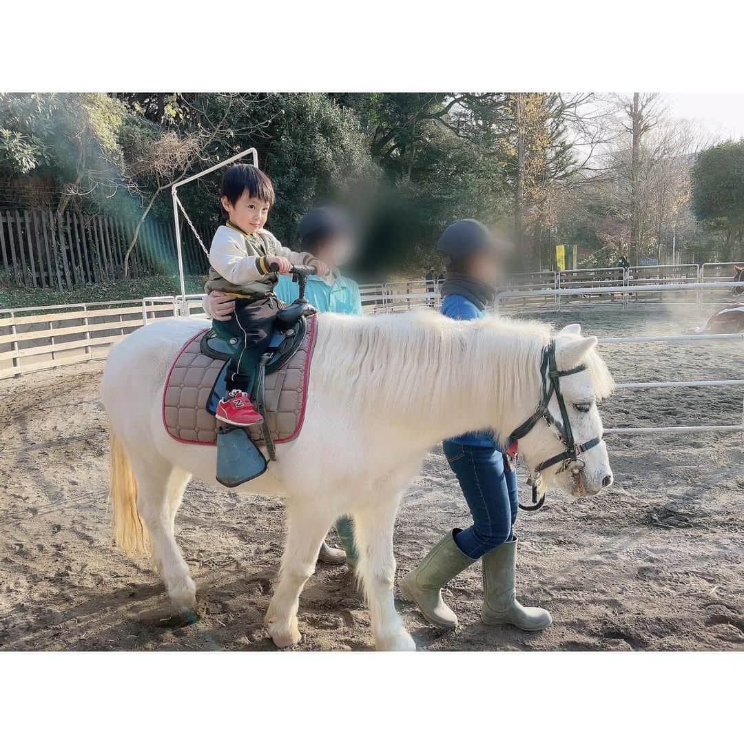 川崎希さんのインスタグラム写真 - (川崎希Instagram)「初の乗馬💓💓💓  おちびーぬがポニーに乗ったよん🐴  1人で乗るから怖がるかと思ったけど上手に乗れてた🥰🥰🥰  sisterはベビーカーで見学👶  #乗馬 #ポニー」12月27日 22時32分 - kawasakinozomi