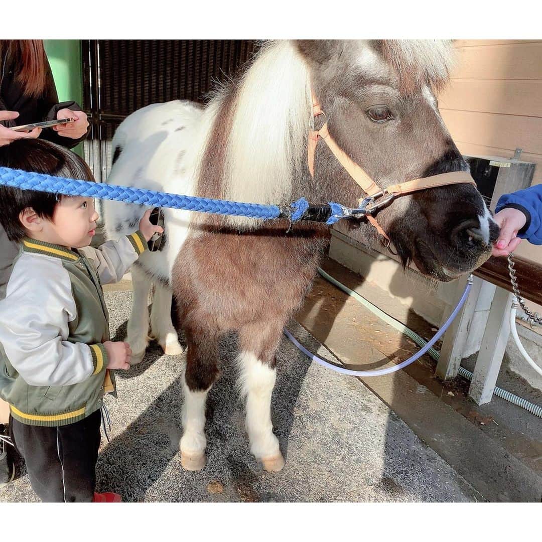 川崎希さんのインスタグラム写真 - (川崎希Instagram)「初の乗馬💓💓💓  おちびーぬがポニーに乗ったよん🐴  1人で乗るから怖がるかと思ったけど上手に乗れてた🥰🥰🥰  sisterはベビーカーで見学👶  #乗馬 #ポニー」12月27日 22時32分 - kawasakinozomi