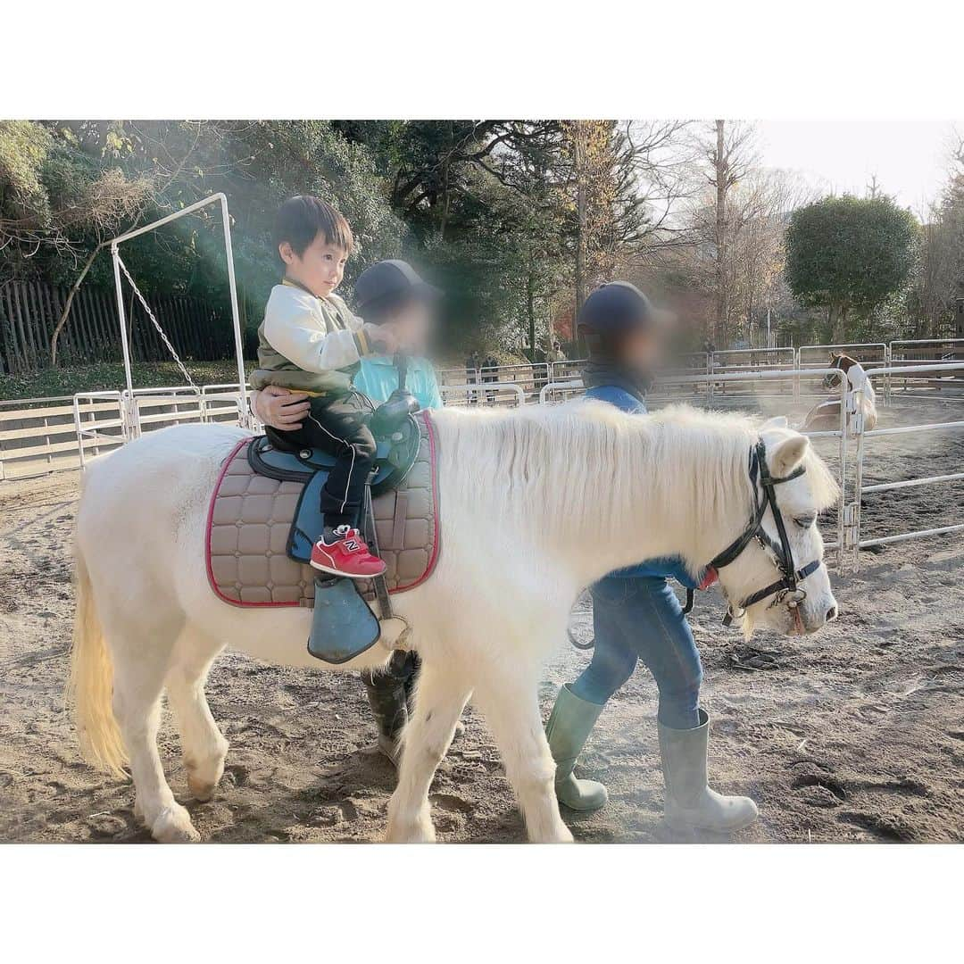 川崎希さんのインスタグラム写真 - (川崎希Instagram)「初の乗馬💓💓💓  おちびーぬがポニーに乗ったよん🐴  1人で乗るから怖がるかと思ったけど上手に乗れてた🥰🥰🥰  sisterはベビーカーで見学👶  #乗馬 #ポニー」12月27日 22時32分 - kawasakinozomi