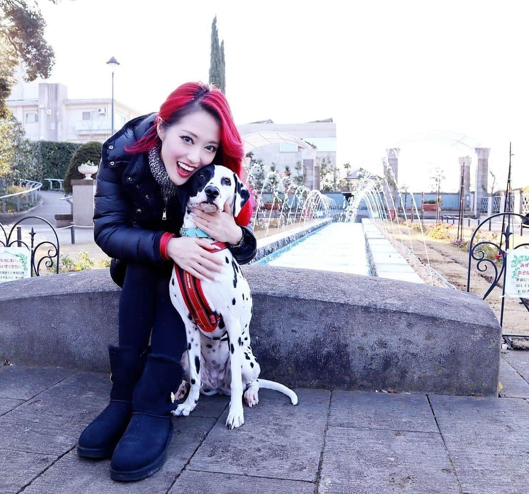 五月千和加さんのインスタグラム写真 - (五月千和加Instagram)「. 家族４人みんなでお散歩👨👩🐶🐶💕✨✨✨  #散歩 #犬の散歩 #walking #ダルメシアン　#dalmatian #dog #愛犬　#大型犬　#メロディ　#melody #家族　#family」12月27日 22時38分 - satsuki_senwaka