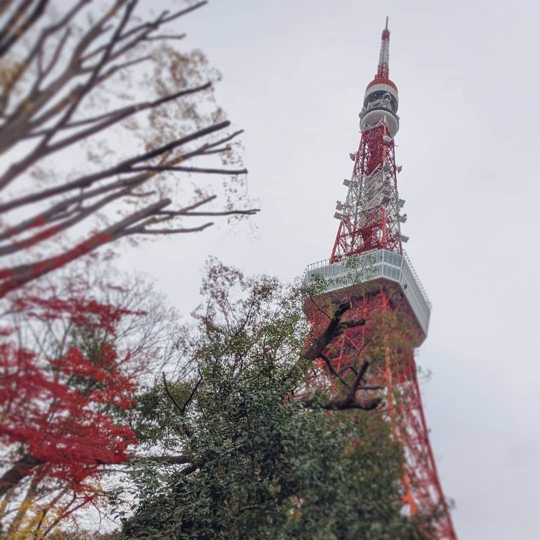 種田梨沙さんのインスタグラム写真 - (種田梨沙Instagram)「🗼  お散歩ラジオin東京タワー！  お土産屋さんでみなさんへのプレゼントも買いました！  選ぶ時間が限られてるのに、 目移りしちゃって大変だったなぁ。笑  東京タワーサブレ、 ずんぐりむっくりしてて可愛かった！  今度はプライベートで行きたいと思います♪  #東京タワー見ると何故か昂ぶるよね #能力者になったら東京タワーのてっぺんに立って #意味深なセリフとかつぶやいてみたい #無理」12月27日 22時48分 - tane_da_dayo