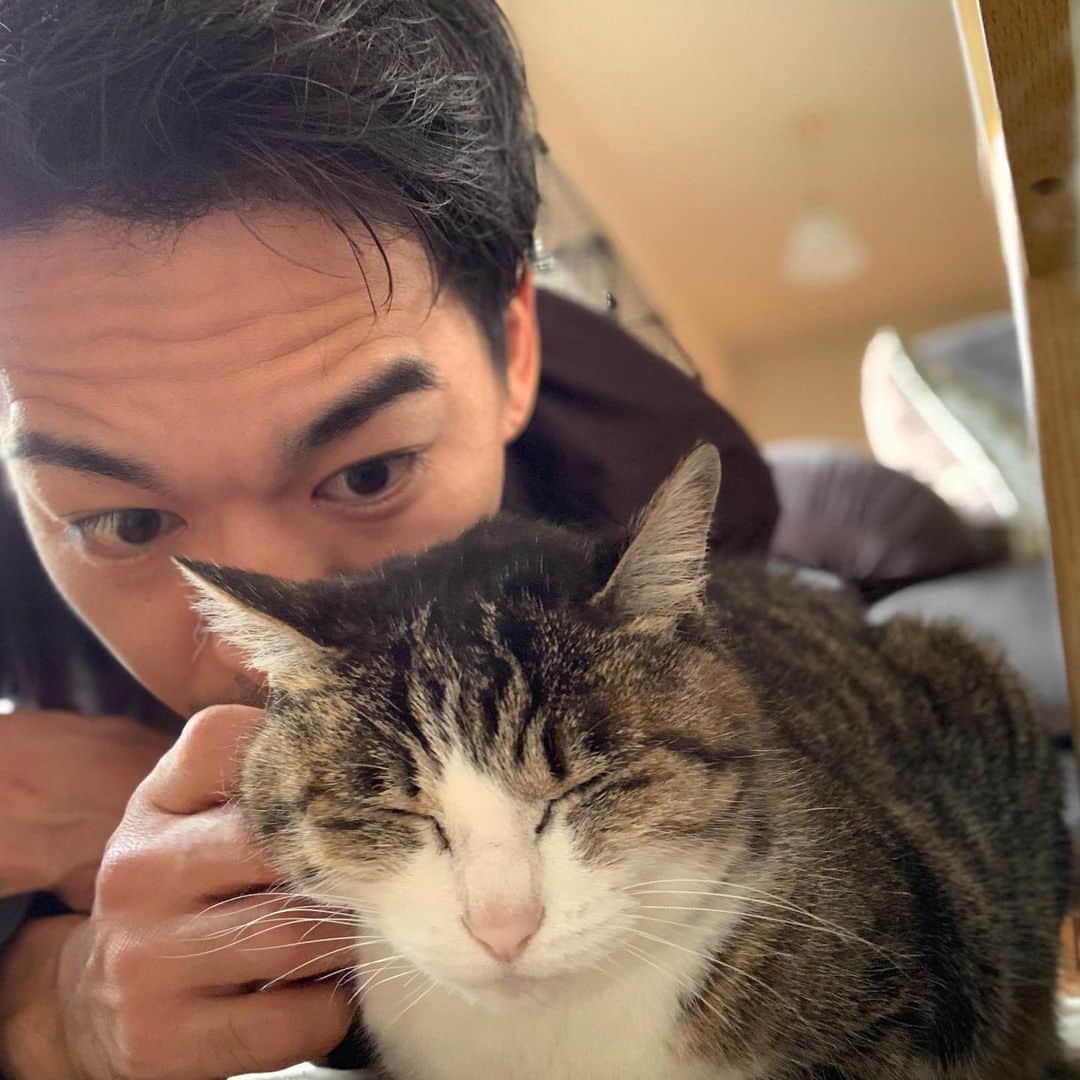 のインスタグラム：「⠀ わしの一番。⠀ ⠀ #cat #ootd #ootdfashion #猫　#猫のいる暮らし #family #寝顔　#cats #ねこ　#動物愛護　#映画」