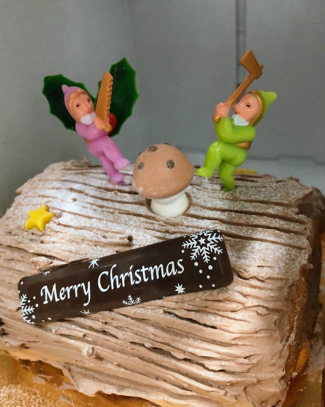 水戸悠夏子さんのインスタグラム写真 - (水戸悠夏子Instagram)「クリスマスの次の日、私にもサンタさんが！箱を開けたらそこには手作りのブッシュドノエル！とっても嬉しかったです。ご馳走様でした◎ #merrychristmas」12月27日 23時28分 - mitoyukako