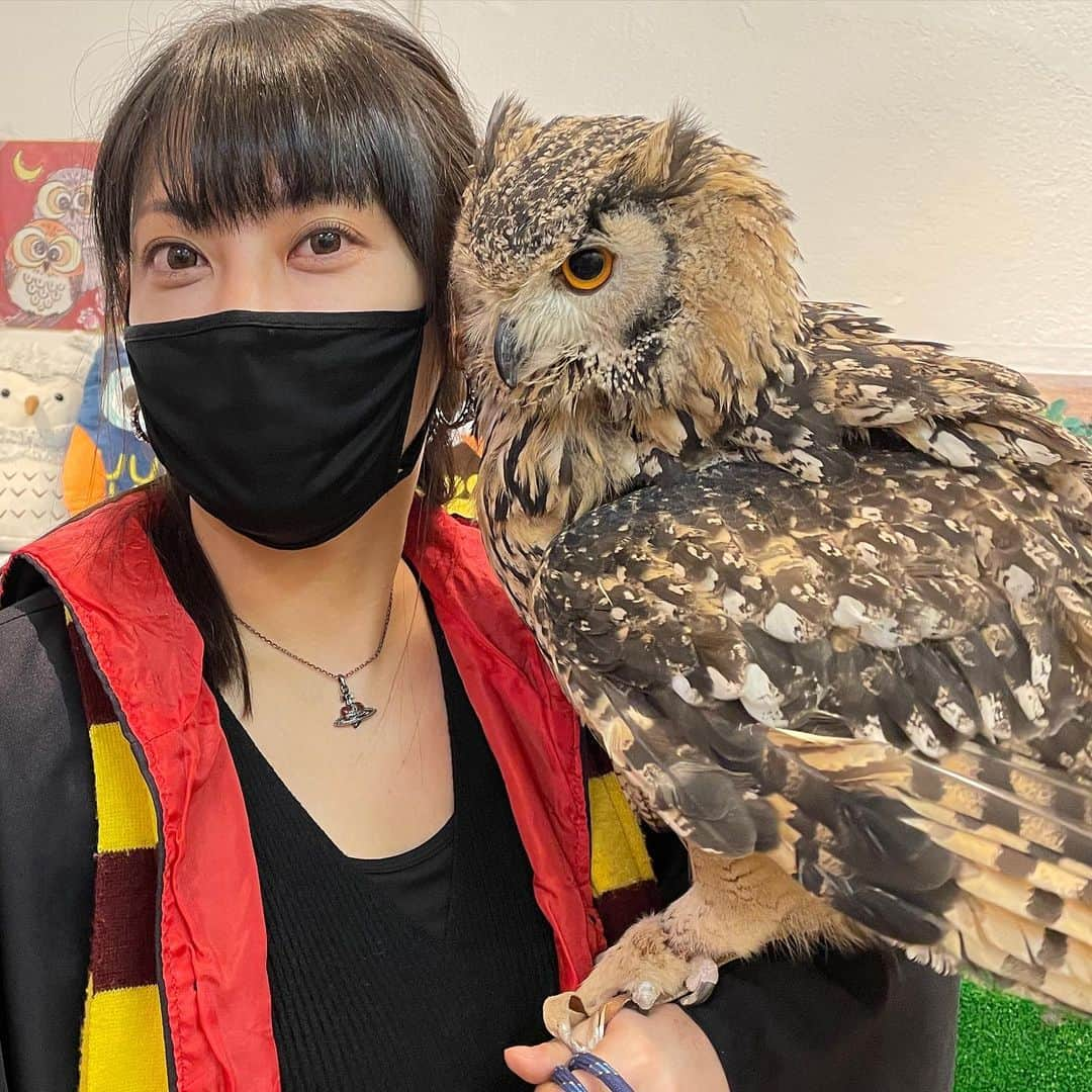 相沢あいさんのインスタグラム写真 - (相沢あいInstagram)「私が知る限り、一番モフれるフクロウカフェ。かわいいよーかわいいよー。犬猫が好きな人は多分フクロウ好きだよ。知能が高いので、犬のモノマネをしてワンワンと鳴く子や、やさしーく甘噛みする子など、キュンキュンした。 _ #月島 #月島カフェ #フクロウ #フクロウカフェ #ふくろう #ふくろうカフェ #フクロウのみせ #owl #owlcafe #birdcafe #bird #birdphotography #猛禽類 #猛禽 #猛禽類好き #フクロウ好き #ふくろう好き #owllover #owlstagram #owlsofinstagram #owllovers #黒髪 #マスク女子 #黒髪ロングストレート」12月28日 0時16分 - aizawaai