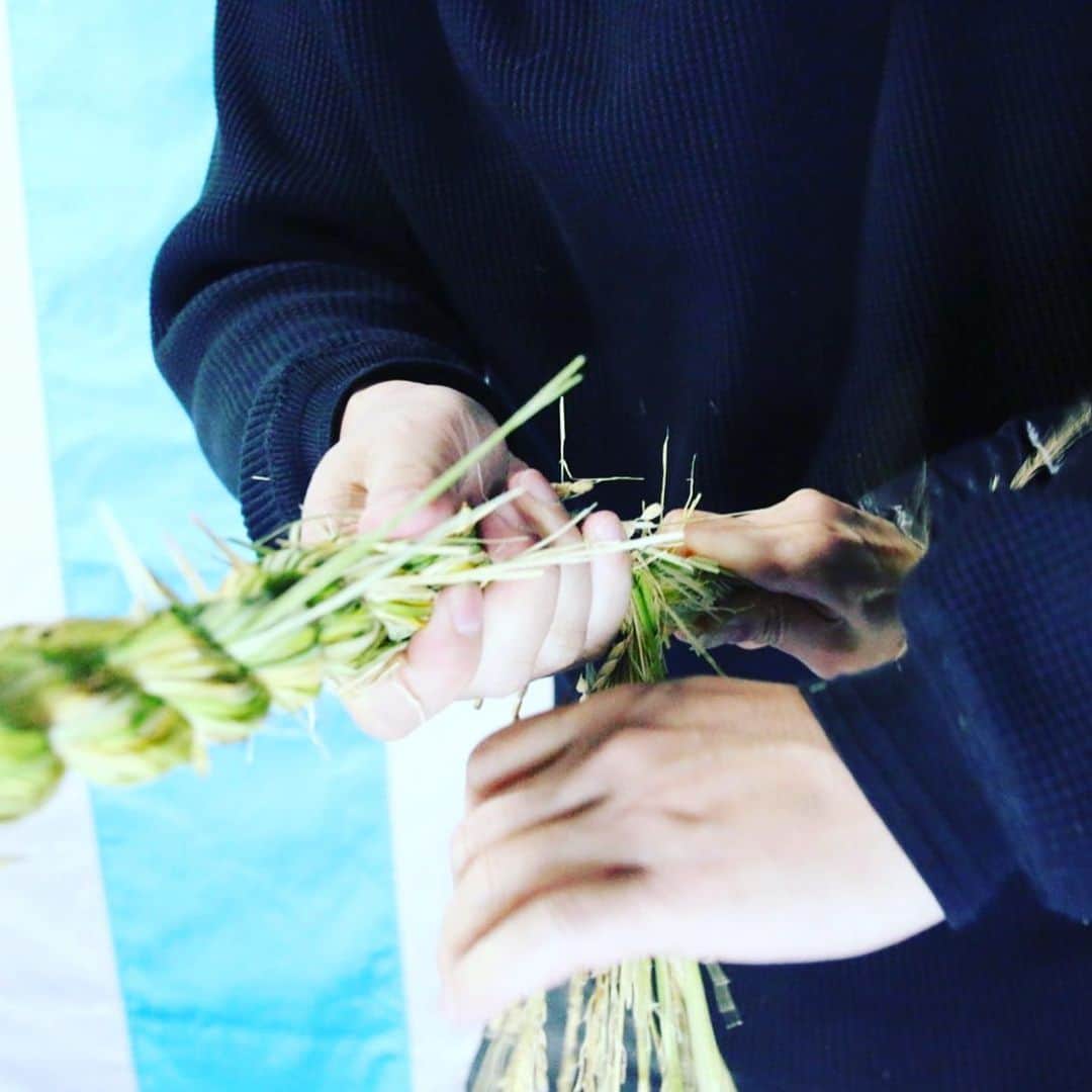 宮田麺児さんのインスタグラム写真 - (宮田麺児Instagram)「育てた山田錦の稲藁で しめ縄造り」12月28日 0時42分 - miyatamenji