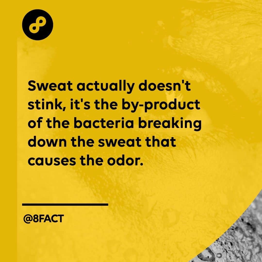 のインスタグラム：「When you sweat, the bacteria break down certain proteins in the sweat into acids.」
