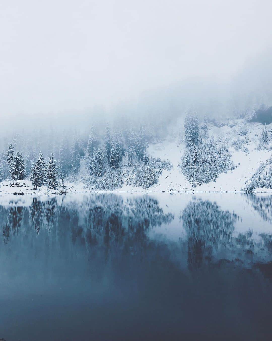 Kyle Kuiperのインスタグラム：「Winter Wonderland ❄️」