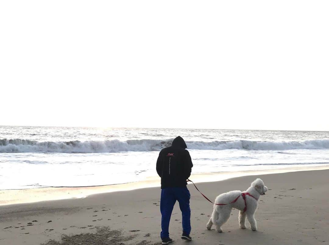 サン・カンさんのインスタグラム写真 - (サン・カンInstagram)「Daeji’s first time at the beach...」12月28日 11時58分 - sungkangsta