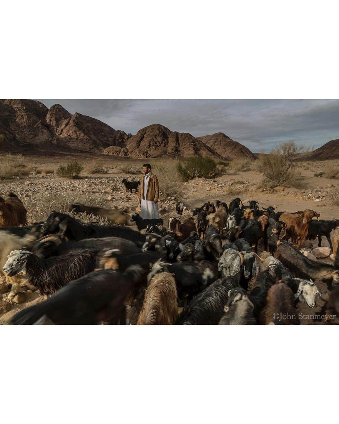 ジョン・スタンメイヤーさんのインスタグラム写真 - (ジョン・スタンメイヤーInstagram)「I was returning through Wadi Hafeer with Salmeh. We had been walking awhile through this windswept wadi (valley) with his animals, chatting. Salmeh in broken English, me in ruinous Arabic, mostly listening to the silence and the "maah's" of his goats. Everywhere in this ravine were petroglyphs. I consider such carvings part of the earliest form of journalism, the New York Times and Corriere della Sera' of the day, publishing on stones over 8000 years ago. Through this wadi, our ancestors began to walk some 60,000 years ago. In many ways, we are hardly different from when we started our human migration from lands further south in what today we call the Horn of Africa. Our primary distinction is the borders we've created since, dividing us. When we neared his encampment, a family of bedouins who prefer to live in nature, not the cities in southern Jordan, Salmeh's wife called out. He stopped briefly to listen, but the herd was too loud by their moving footsteps. In this natural cathedral, the sun spread near shadowless light inside the ravine and worn hills. At that moment, I felt timeless along the highway of our human existence. ⠀⠀⠀⠀⠀⠀⠀ from the @natgeo story #BlessedCursedClaimed @outofedenwalk #jordan #WadiHafeer #wadi #ravine #valley #goats #fromthearchive」12月28日 12時43分 - johnstanmeyer