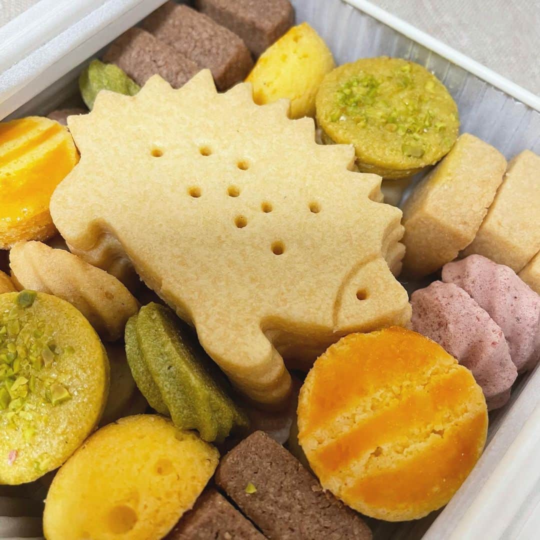 横島亜衿さんのインスタグラム写真 - (横島亜衿Instagram)「クッキー缶わくわくするので大好き🦔🍪」12月28日 13時08分 - _aeri_yokoshima