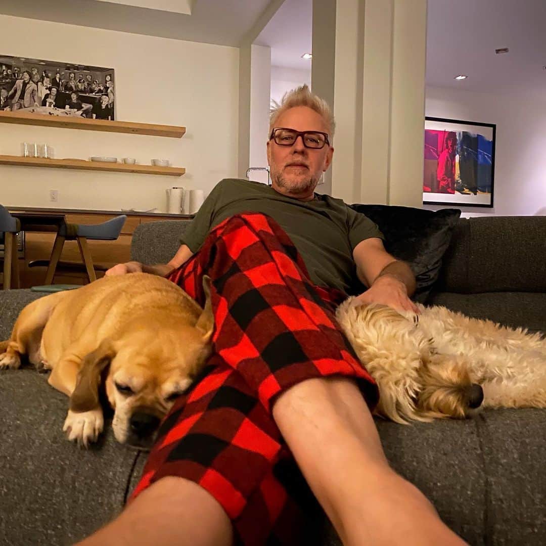 ジェームズ・ガンのインスタグラム：「ACD (always covered in dogs). #dog #dogs #dogsofinstagram」