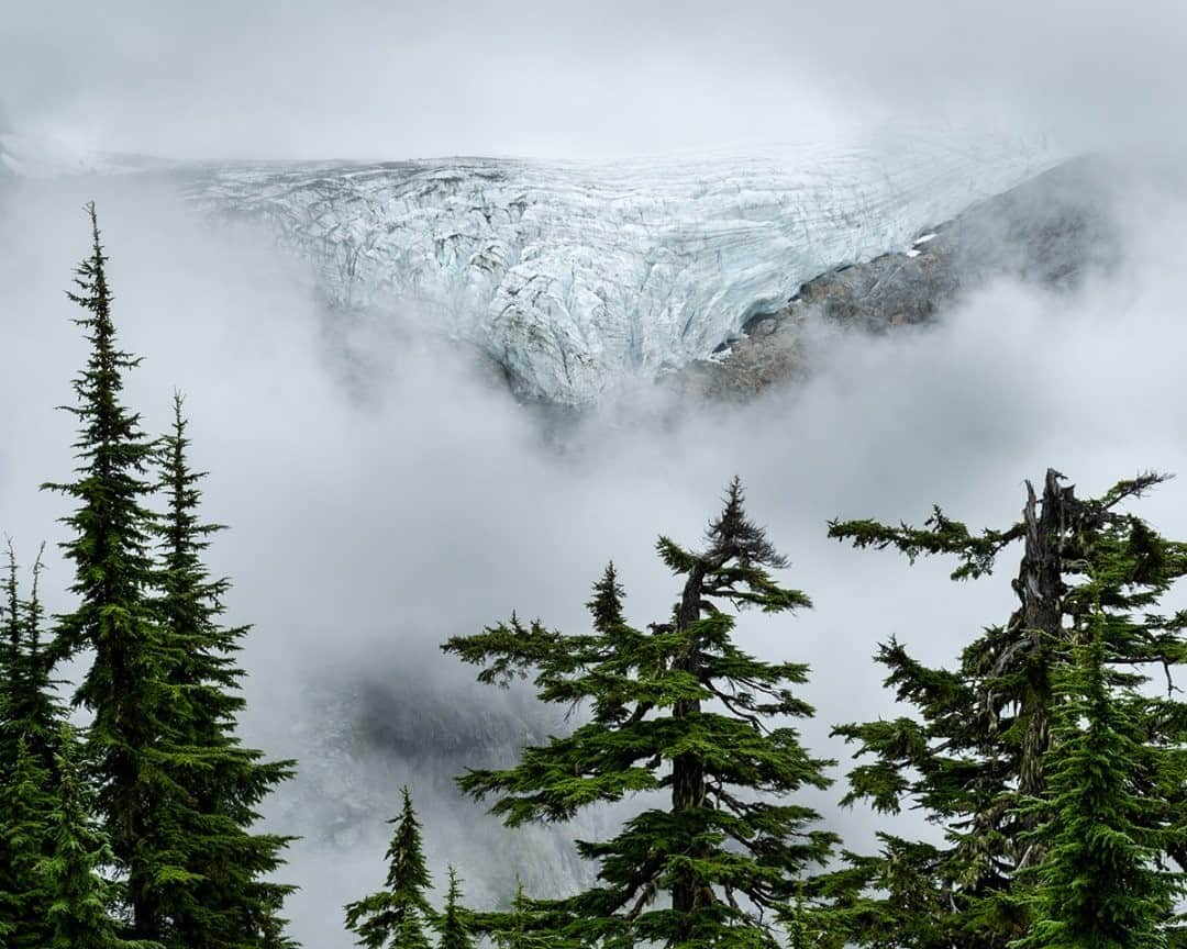 National Geographic Travelさんのインスタグラム写真 - (National Geographic TravelInstagram)「Photo by @stephen_matera / The clouds briefly part to reveal the Lower Curtis Glacier on the western flank of Mount Shuksan in North Cascades National Park, Washington. The Curtis Glacier is one of over 300 active glaciers in the North Cascades, and Mount Shuksan has an astounding 8,400 feet (2,560 meters) of vertical relief on its south side. Follow me @stephen_matera for more images like this from Washington and around the world. #glacier #northcascades」12月28日 4時37分 - natgeotravel