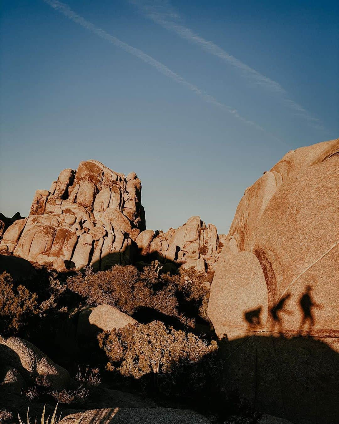 YANA DEMEESTERのインスタグラム：「A different kind of Christmas this year, but it was beautiful nonetheless. Also shoutout to the iPhone camera’s long exposure setting and the lack of light pollution in the desert — it had been a while since I was able to see the stars so bright. #joshuatree #travel」