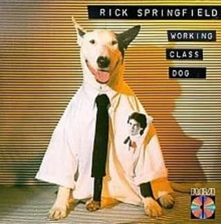 中村松江さんのインスタグラム写真 - (中村松江Instagram)「今日の一曲はRick Springfieldで『Jessie's Girl』です✨ アルバム「Working Class Dog」に収録。 俳優としても活躍するオーストラリア出身のリック・スプリングフィールド、1981年の大ヒット曲です✨ 彼はかっこいいし、曲もいいし、スターですよね👍 (№479) #歌舞伎 #中村松江 #rickspringfield #jessie'sgirl #workingclassdog」12月28日 7時10分 - matsue_nakamuraofficial