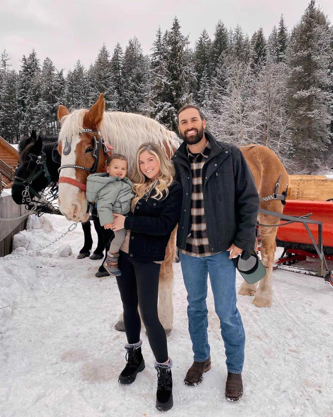 carlyのインスタグラム：「it’s lovely weather for a sleigh ride together with you 💫 can anyone guess where we are?! #winterwonderland #sleighride」