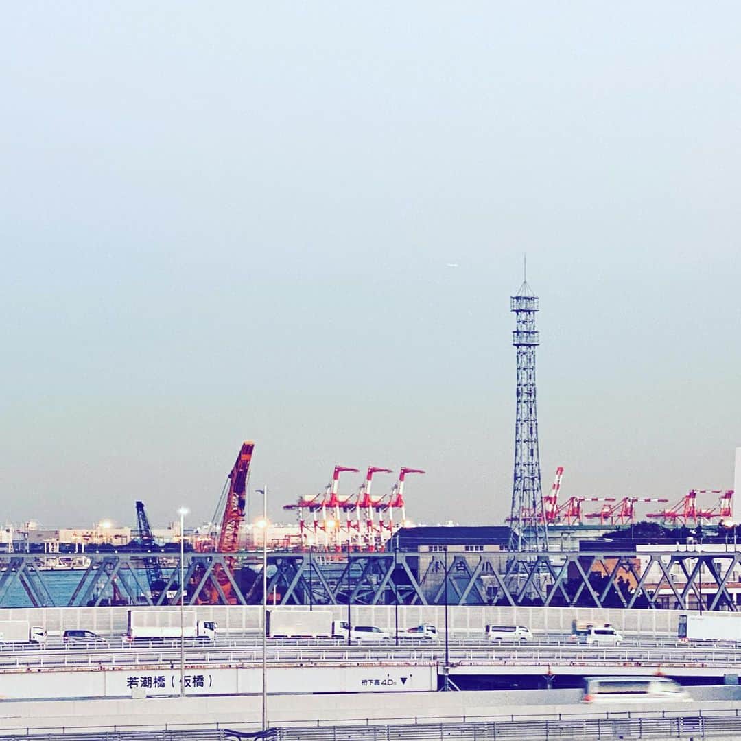 中野敬久さんのインスタグラム写真 - (中野敬久Instagram)「#dusk #seaside #factory #鉄塔 #鉄塔の会 #highway」12月28日 8時20分 - hirohisanakano