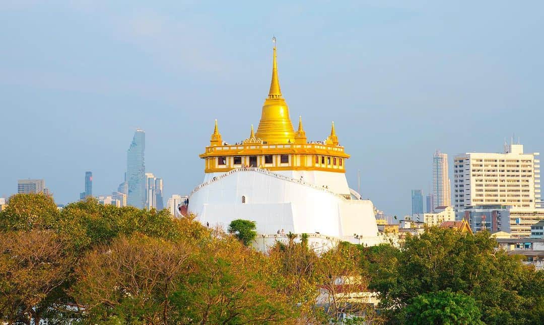 タイ国政府観光庁さんのインスタグラム写真 - (タイ国政府観光庁Instagram)「・﻿ ／﻿ ワット・サケットから﻿ おはようございます☀️﻿ ＼﻿ ﻿ 赤い“ジャイアント・ブランコ”サオ・チンチャーにほど近い場所にある、「ワット・サケット」の写真をお届け📸﻿ ﻿ 白塗りの外壁の上に立つ、黄金の仏塔(チェディ)が目を引きますね👀﻿ ﻿ 別名「ワット・プーカオ・トーン」でも知られるワット・サケットは、アユタヤ王朝時代から存在する古い寺院🙏344段のらせん階段をのぼった先には、バンコク市内を360度一望できる回廊があります🏙✨﻿ ﻿ 名前についた「サケット」とは、「王が散髪される」という意味の王室用語です👑﻿ ﻿ 今週も体調に気をつけながら、1週間がんばりましょう😊﻿ ﻿ #今週も頑張ろう #タイ #バンコク #ワットサケット #タイ寺院 #お寺巡り #お寺好きな人 #仏塔 #アユタヤ王朝 #歴女 #こんなタイ知らなかった #もっと知りタイ #タイ旅行 #バンコク旅行 #旅好きな人と繋がりたい #旅行好きな人と繋がりたい #海外旅行 #thailand #bangkok #bangkoktrip #watsaket #temple #amazingthailand #thailandtravel #thailandtrip #thai #thaistagram #lovethailand﻿ ﻿」12月28日 8時30分 - amazingthailandjp