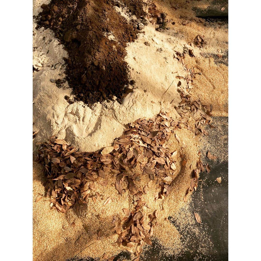 journaleatripのインスタグラム：「rich soil making  美味しい土作り 後は発酵ホカホカになるのを待つのみ  とっても気がいい人々の手をお借りして来年からお世話になります。 気持ちよい連鎖に大感謝。  橋本式レシピ 籾殻 ✖️8 枯葉 ✖️2 米糠✖️2 土　✖️1 水　よくよく揉み込んで手のひらに残るぐらいのしっとりかげん  #のりさん有難う！ #thefarmersお世話になります！ #ご挨拶」