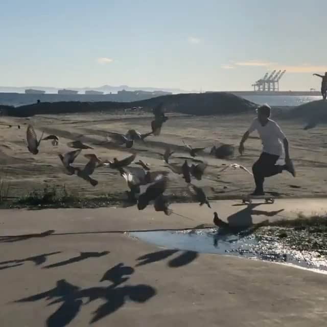 のインスタグラム：「@james_capps Slappy Nosegrind at the beach 📲 @alex_papke  #Lakai #TheShoesWeSkate」