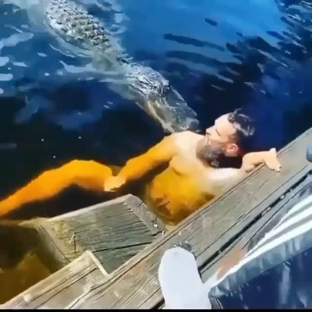 WildLifeのインスタグラム：「Are you following @discovercrocodiles yet? 🐊They post the most insane content and facts of crocodiles and alligators! 💚@discovercrocodiles  video of @john_braje3 filmed by Eric Prezzy @loko_mon   #nature #natures #sea #ocean #earth #wild #waves #wave」