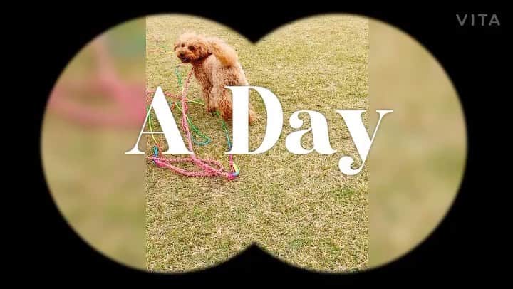 若林美里のインスタグラム：「* 2020.12.28  今日は太陽の2歳の誕生日🐕🎂  誕生日おめでとう🎉✨ 出会ってくれてありがとう😊  これからも元気にすくすくと育ってね!!  Today is my dog's 2nd birthday😘  #犬 #愛犬 #mydog #誕生日 #taiwan #台湾 #高雄 #高雄陽信 #陽信銀行 #プロサッカー選手 #海外サッカー選手 #台湾サッカー #女子サッカー #サッカー女子 #女子アスリート #女性アスリート #海外女子 #若林美里 #謝謝」