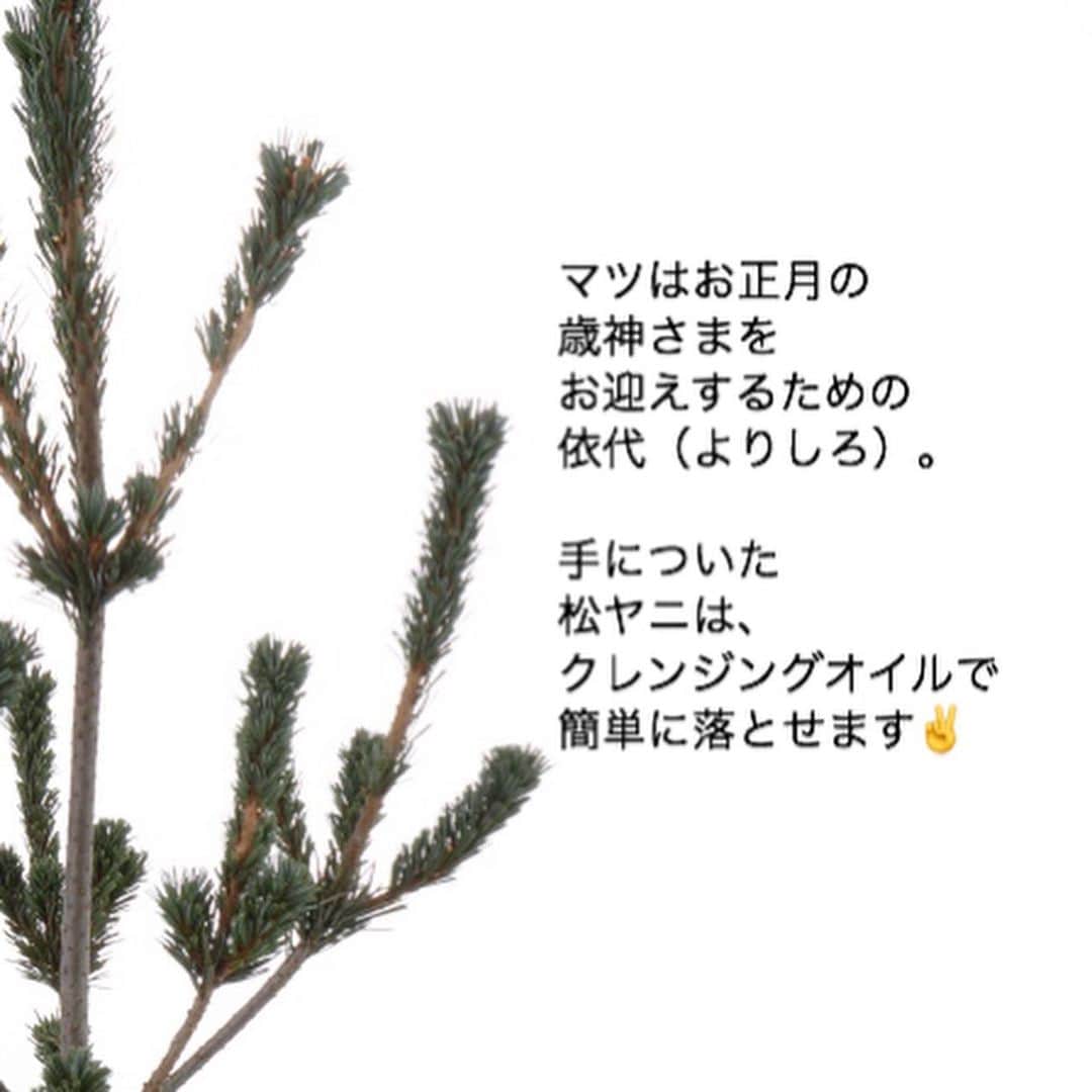 雑誌『花時間』さんのインスタグラム写真 - (雑誌『花時間』Instagram)「おはようございます。お正月のマツは買いましたか？ ﻿ ﻿ 飾るときに間引いた小枝でも﻿ スーパーの束売りに入っている﻿ マツでもOK🙆‍♀️のアイデア💡です。﻿ ﻿ マツの葉っばに﻿ 赤い実を﻿ ちくちくと挿すだけ。﻿ ﻿ ポイントは、﻿ 短く枝を切ること。﻿ ﻿ ゴツゴツした枝が器に隠れて、挿した赤い実がぐっと愛らしくなるんです！﻿ ﻿ 常緑であることから長寿や健康の願意をもつマツ。﻿ ﻿ お正月には、歳神さまをお迎えするための依代🎍（よりしろ）となります。  依代とは、神さまが降り立つための「目印」みたいなもの。﻿ ﻿ 幸せを運ぶ歳神さまは﻿ 和製サンタクロース🎅？﻿ ﻿ 迷わず我が家に 来てもらえるよーに、 マツ🎍を飾りましょ！﻿ ﻿ 手についた松ヤニは、クレンジングオイルでスッキリと取れますよ。﻿ ﻿ では、本日も元気smile😊😊😊で頑張りましょう💪 by ピーターパン﻿ ﻿ ﻿花 @chocolat_flowers  写真 @masaki.yamamoto  ﻿ ﻿ #flowers #flowerslovers #flowerstagram #flowerarrangement  #花時間 #花時間2020 #花好き #花藝 #花好きな人と繋がりたい #花が好きな人と繋がりたい #花のある生活 #花のある暮らし #花を飾る #花を飾る生活  #お正月飾り  #お正月のお花  #お正月の花  #お正月の準備  #花屋さんへ行こう」12月28日 9時57分 - hanajikan_magazine