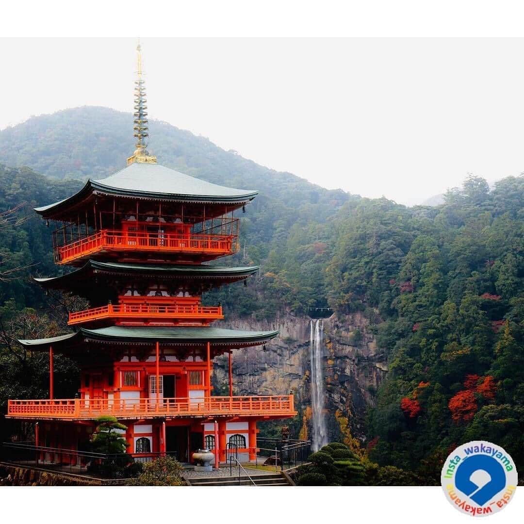和歌山県さんのインスタグラム写真 - (和歌山県Instagram)「. Insta_Wakayamaでは、皆さんがハッシュタグをつけて投稿してくださった写真から、素敵な写真をご紹介させていただきます！ 本日は、和歌山県観光連盟とのコラボ企画「 #グッドトリップ和歌山 」投稿キャンペーンの月間優秀賞（２０２０年１１月）作品をご紹介いたします。 今回は２０枚ものお写真が優秀賞として選ばれましたので、先週に引き続き１０枚をご紹介します！ . まず１枚目から順に  @k_photo375 さん @kuridaifuku_ さん @yuzumonakaa.n_n さん @nayusan8 さん @suzuyaki381 さん @ma2you2mei3 さん @kawai.photo さん @saigont528 さん @sachika232018 さん @kaz_sora.5000 さん  以上10名のお写真です。 . ここ数年、秋は通り過ぎるのが早かったですが、今年は少し長く秋の景色を写真を通して感じることができました（^^）  参考：https://www.wakayama-kanko.or.jp/goodtrip/ （和歌山県観光連盟HP） . @insta_wakayama では、引き続き #グッドトリップ和歌山 投稿キャンペーンを開催中です！ 和歌山県の素敵なお写真を投稿していただいた方々の中から、毎月10名様にプレミア和歌山商品（5,000円相当）をプレゼント🎁します！ 詳しくは @insta_wakayama のプロフィールにあるURLをチェックしてください。 また和歌山に関する投稿にはぜひ「 #insta_wakayama 」ハッシュタグをつけてください★ 和歌山の魅力を皆さんで発信していきましょう！ ハッシュタグをつけるとともに、写真の場所の記載や位置情報の登録をしていただければ幸いです🎵 . #和歌山県 #観光和歌山 #風景 #風景和歌山 #なんて素敵な和歌山なんでしょう #wakayama #insta_wakayama #wakayamagram」12月28日 10時38分 - insta_wakayama
